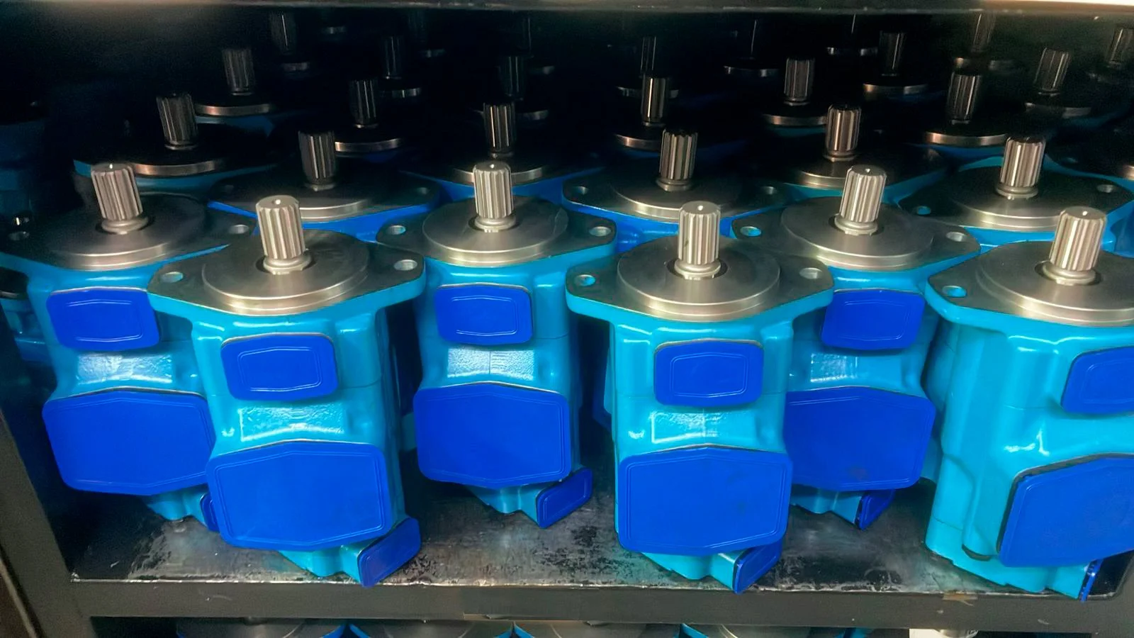 WhatsApp Image 2024-09-02 at 17.09.25.jpg