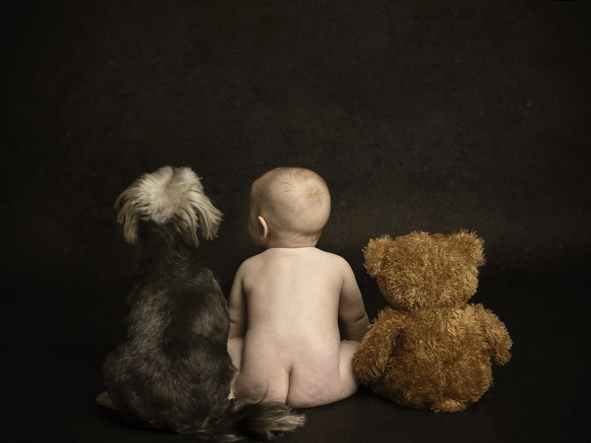 child sitting with his back between a dog and a teddy bear with dark brown backdrop 