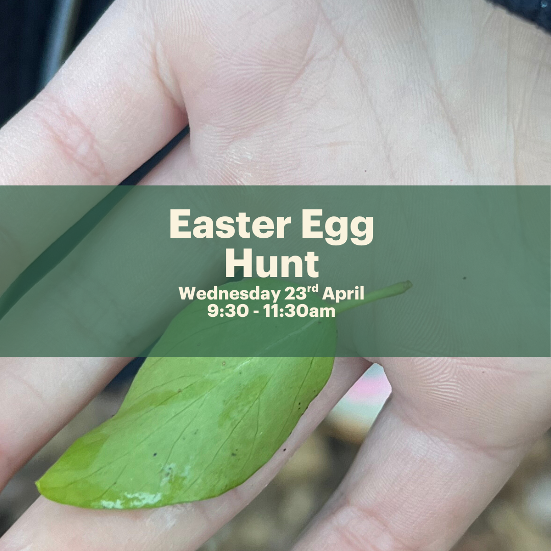 Family Forest School Session - Easter Egg Hunt - Wednesday 23rd April 2025