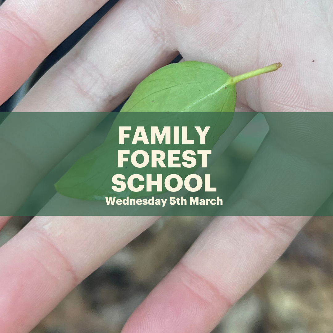 Family Forest School Session - Pancake Celebration - Wednesday 5th March 2025