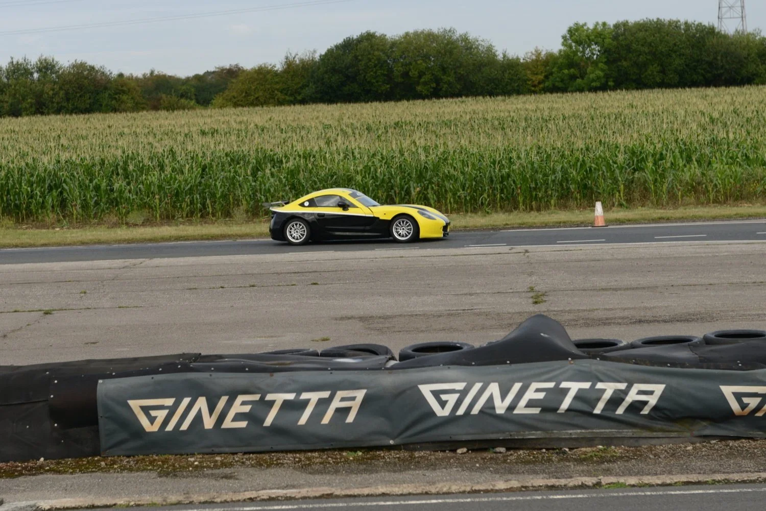 DSC_7962.jpg