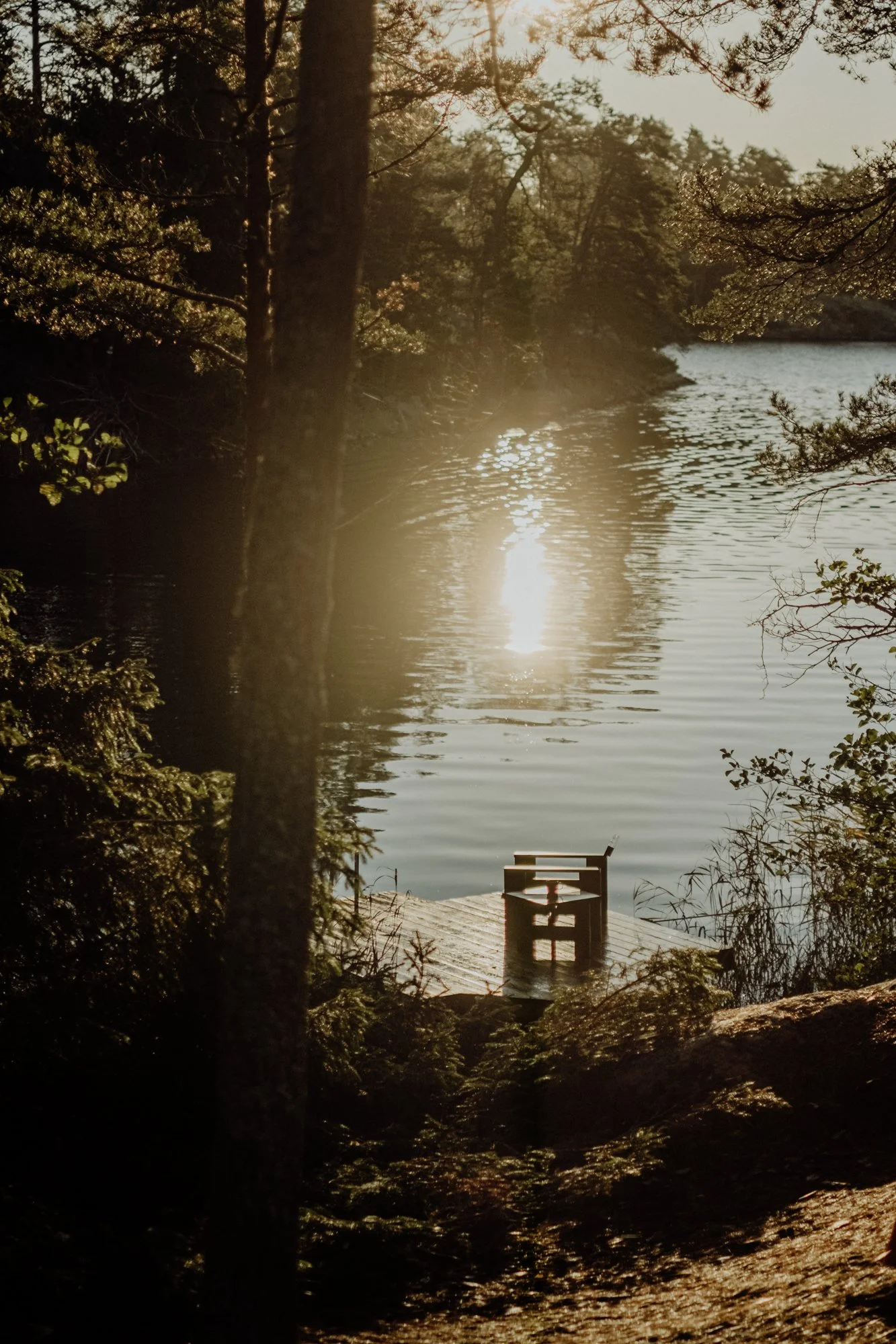 A wooden chair on a dock by a river with trees and sunlight reflecting on the water in the background.
