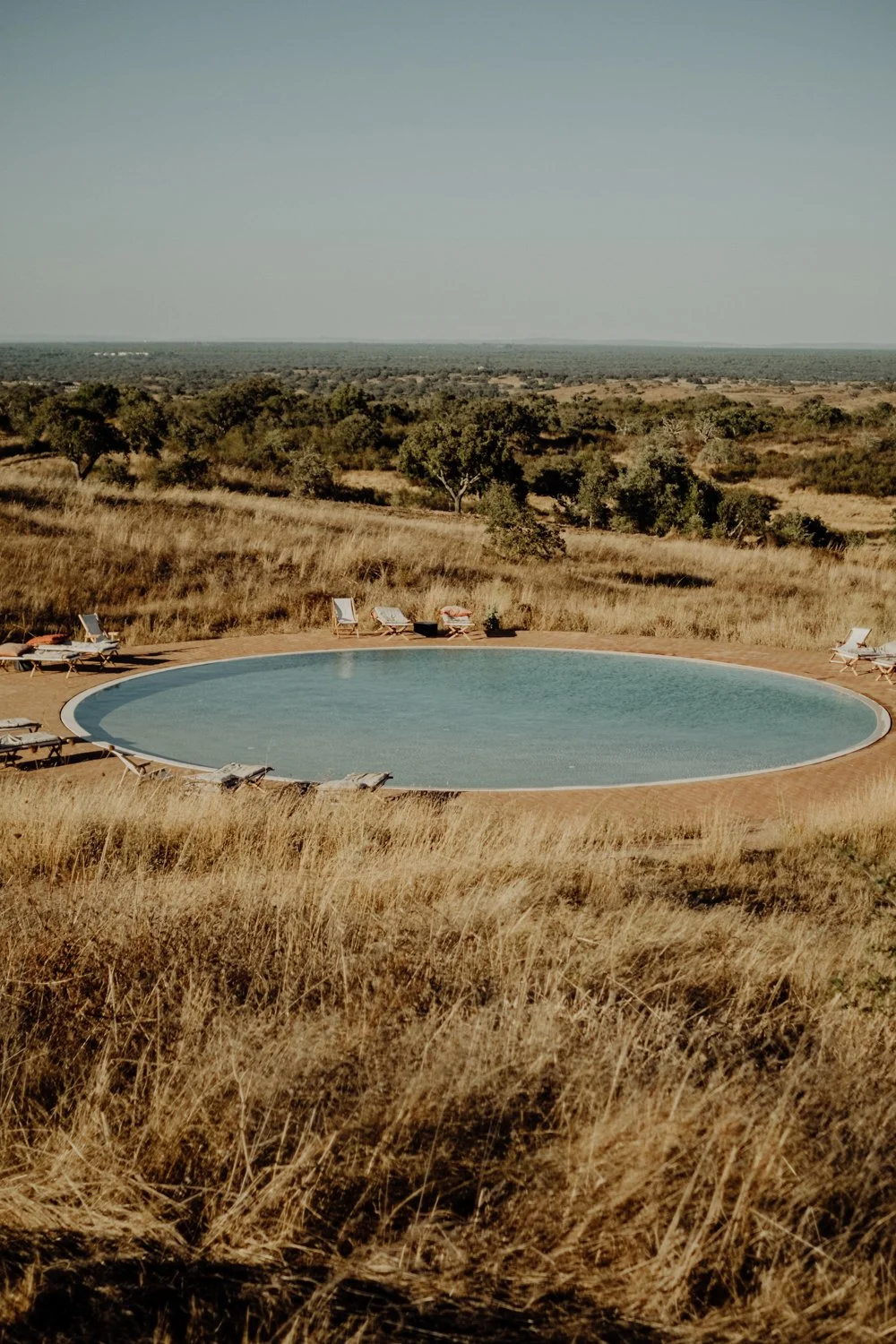 A circular swimming pool in a dry, grassy landscape with trees and open land in the background, and lounge chairs around the pool.