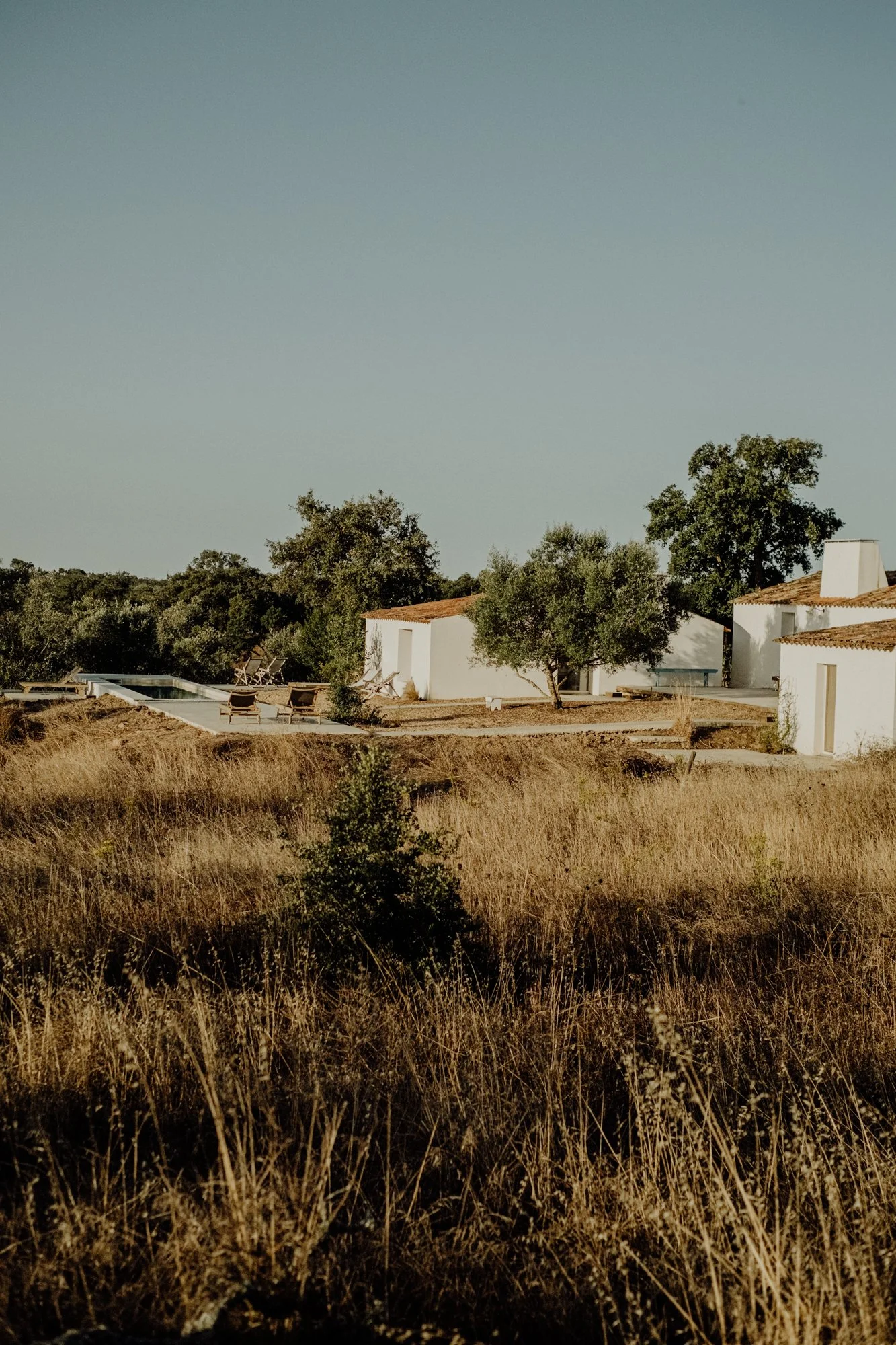 A rural landscape with white houses, dry grass, trees, and a swimming pool in the background under a clear sky.