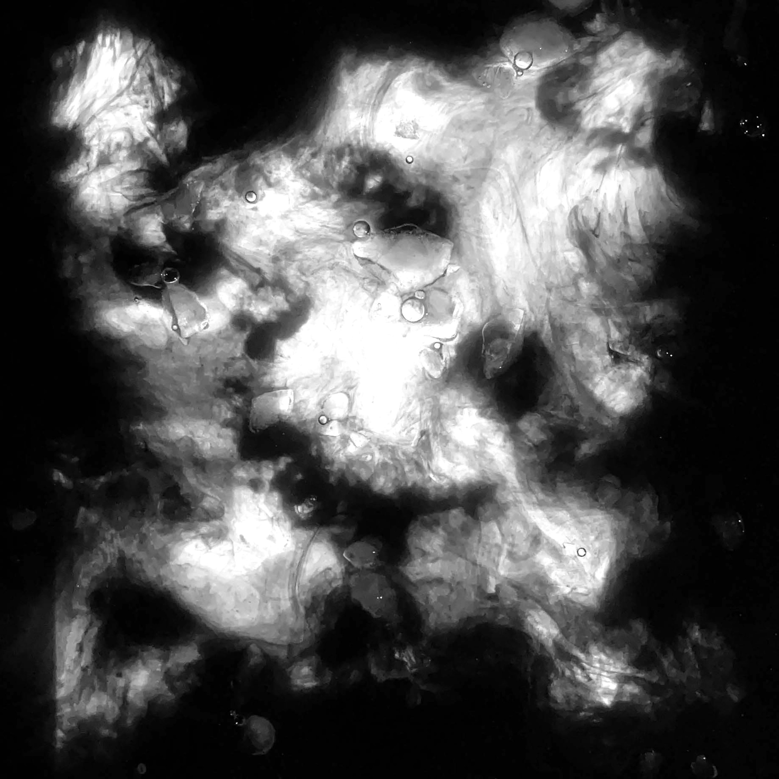 Happy and You Know It - ©2025