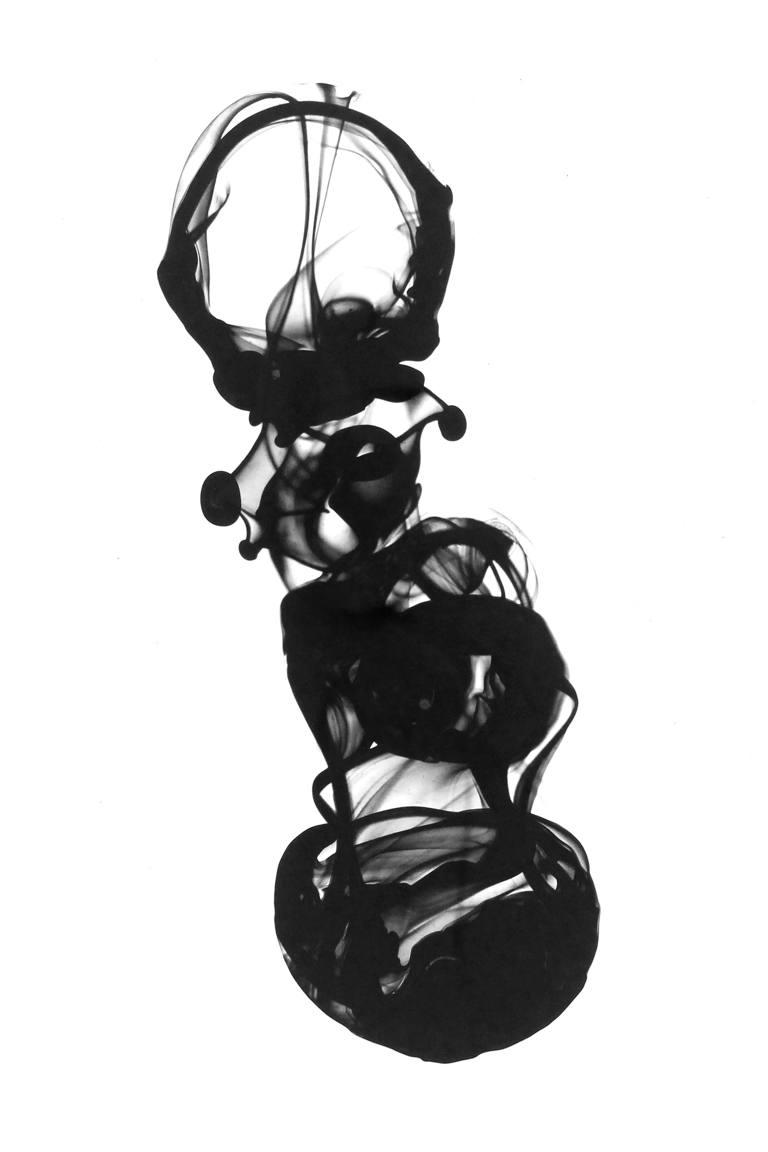 Arthropod - ©2025