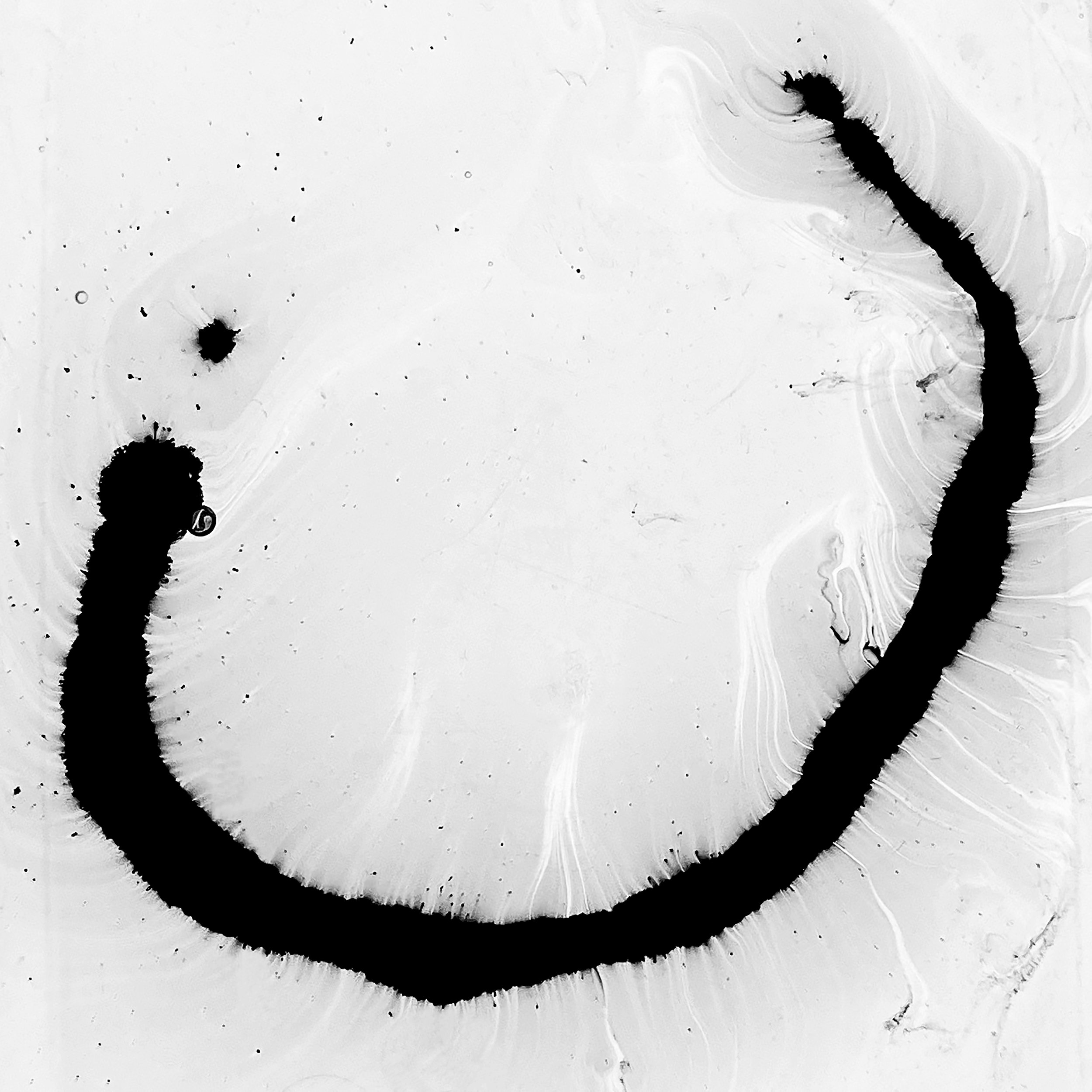iWorm - ©2025