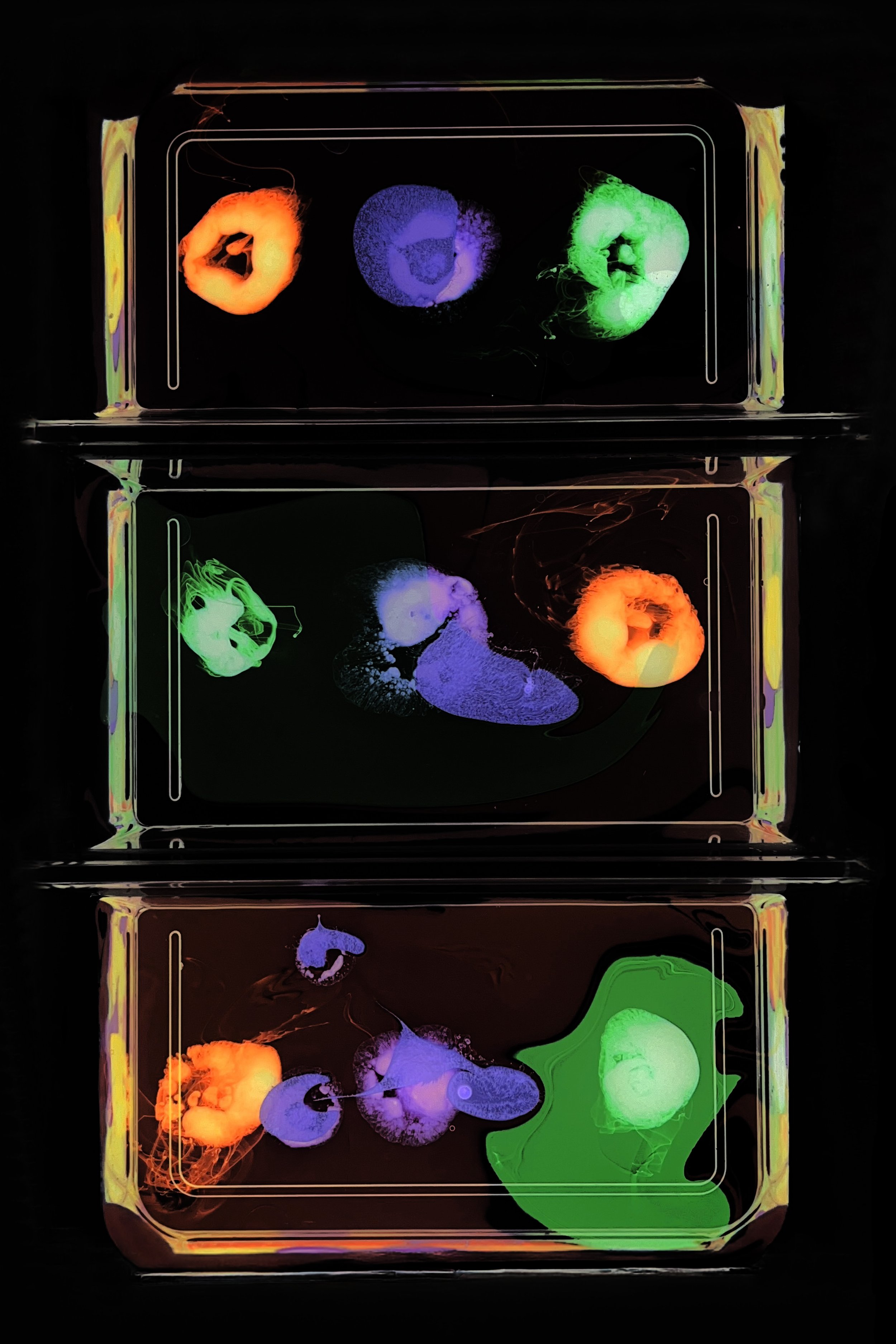 CMYK Inverted - ©2025