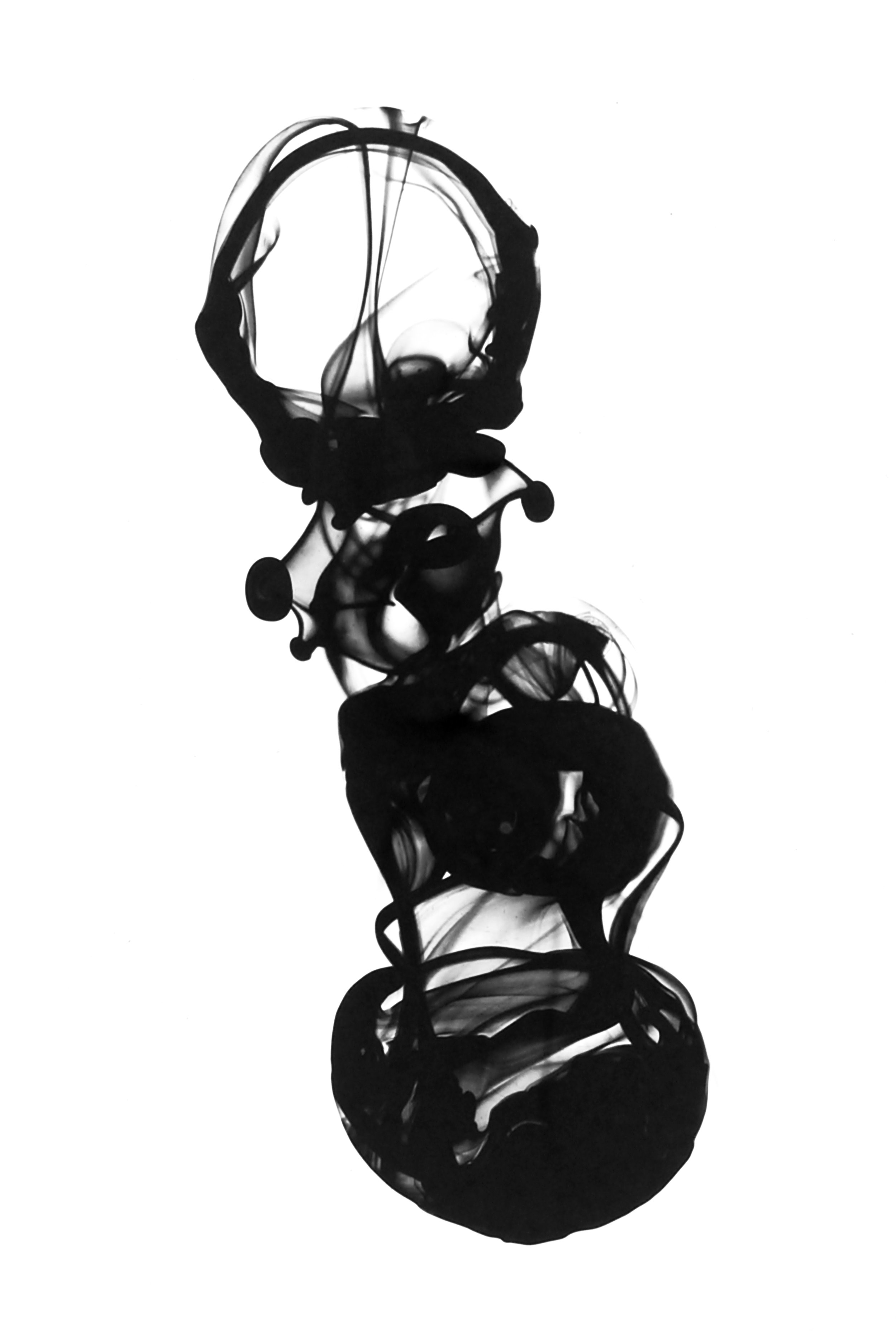 Arthropod - ©2025