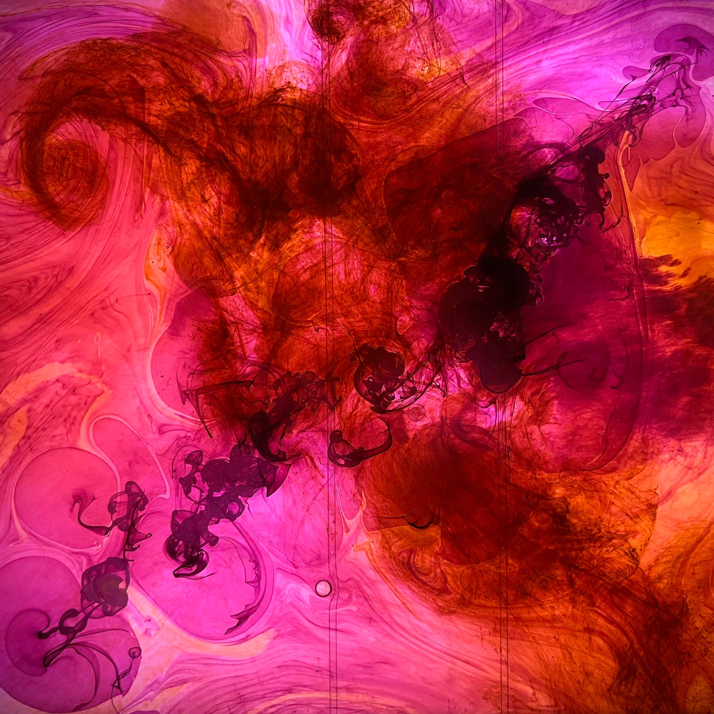 Formation of the Scorpion Nebula - ©2025