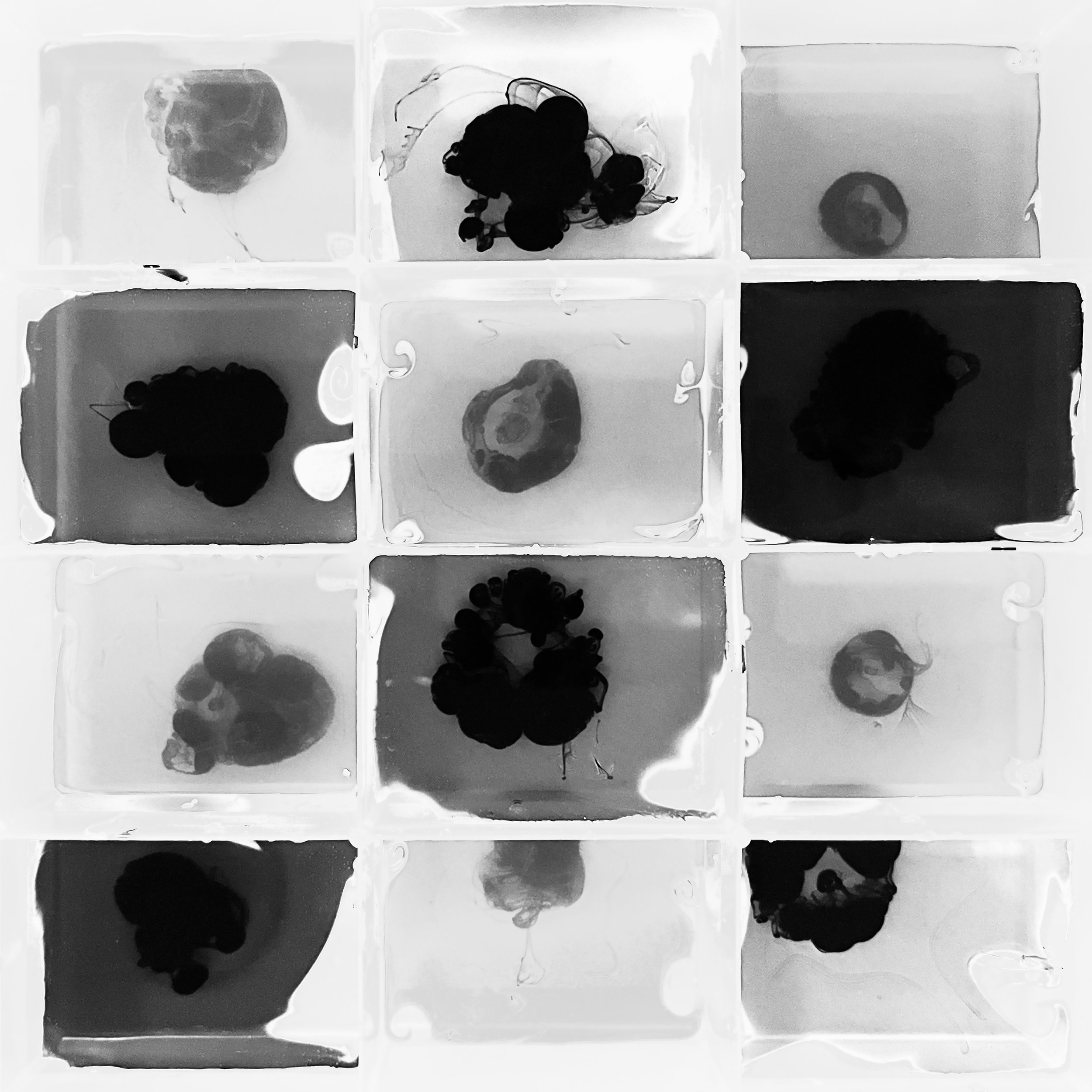 Twelve Five - ©2025