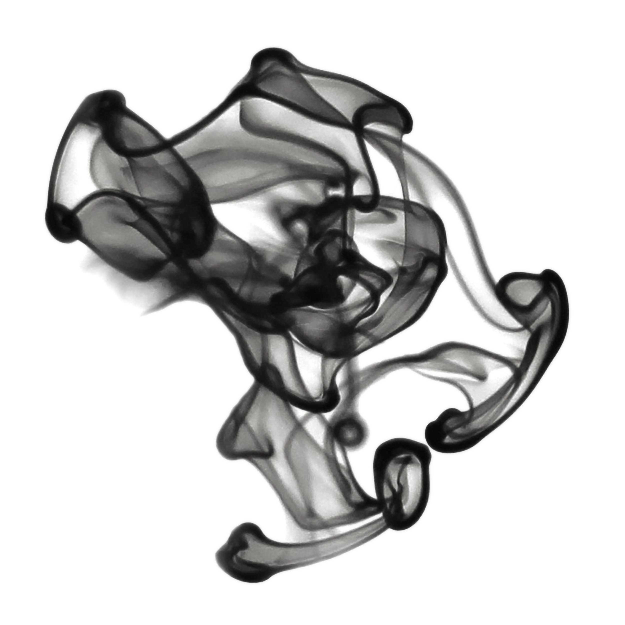 Flex - ©2025