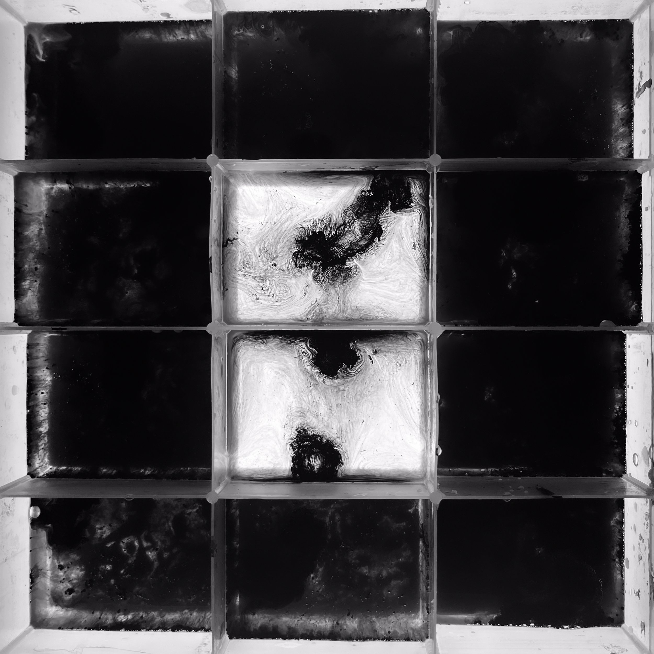 Twelve Ten - ©2025