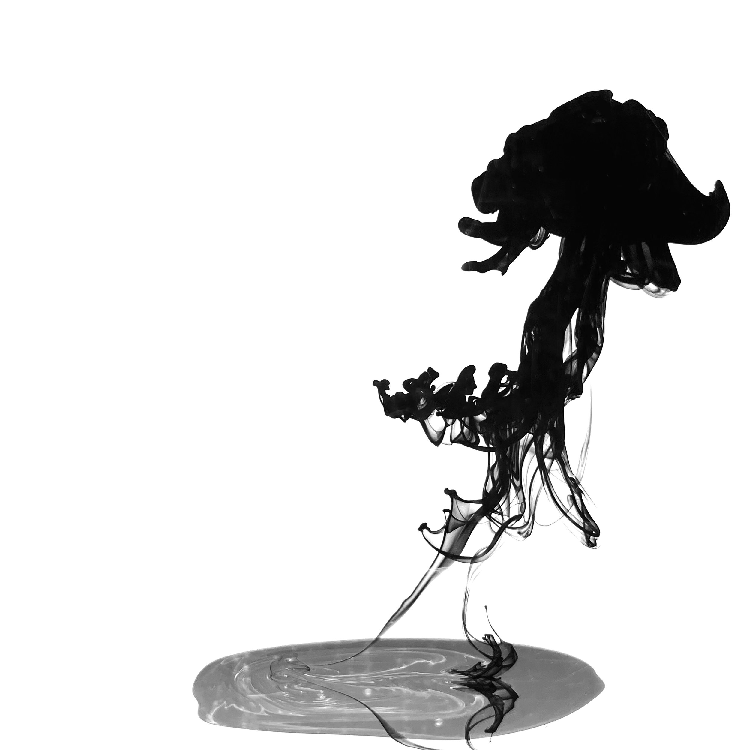 Fleur - ©2025