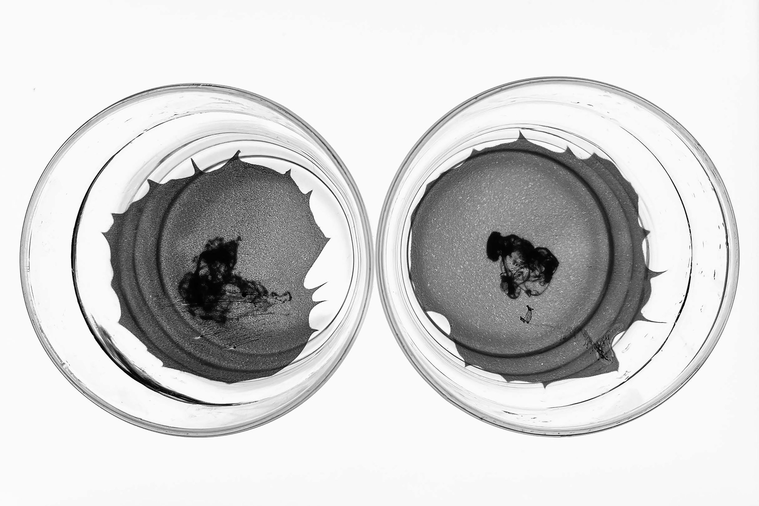 Beer Goggles - ©2025