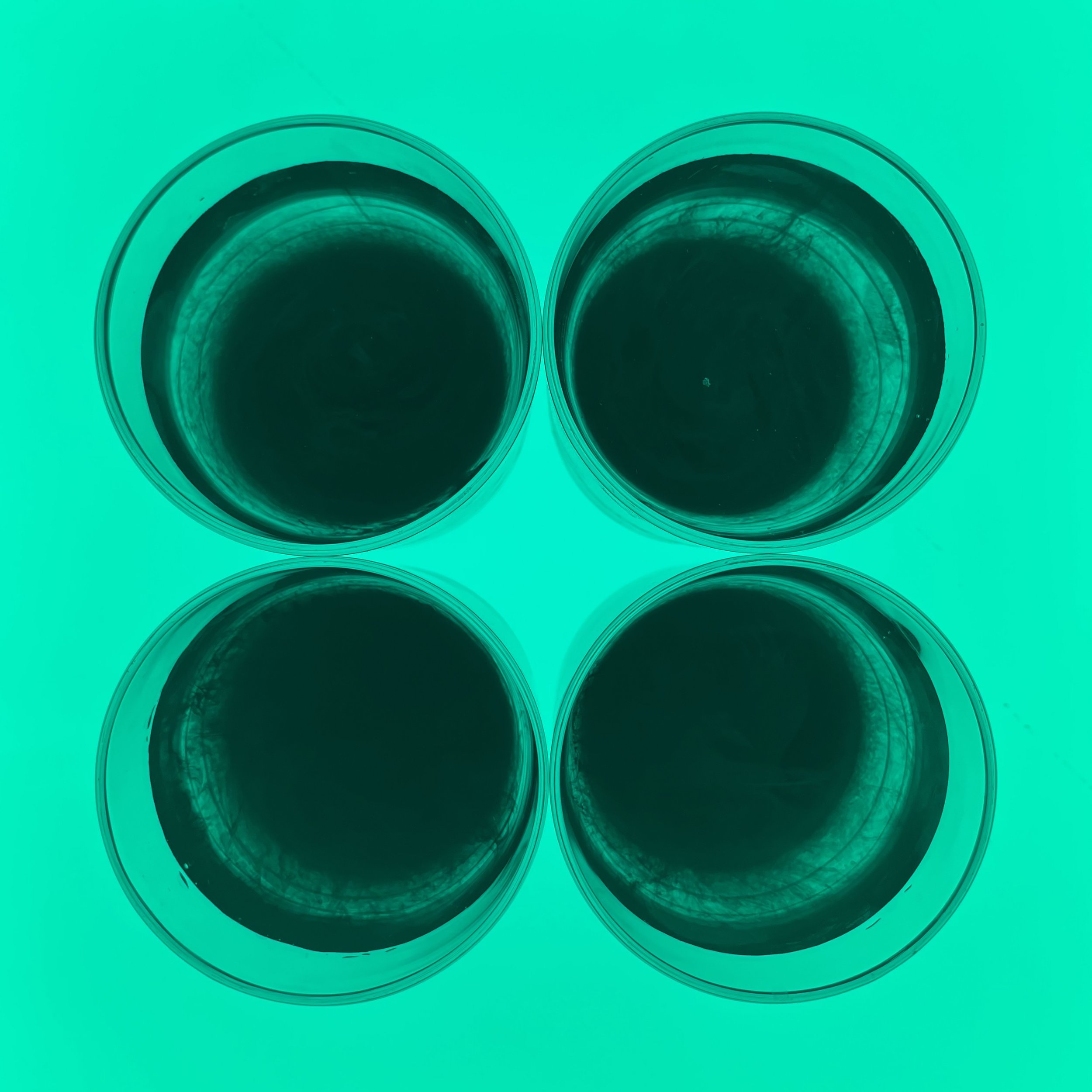Four Green - ©2025