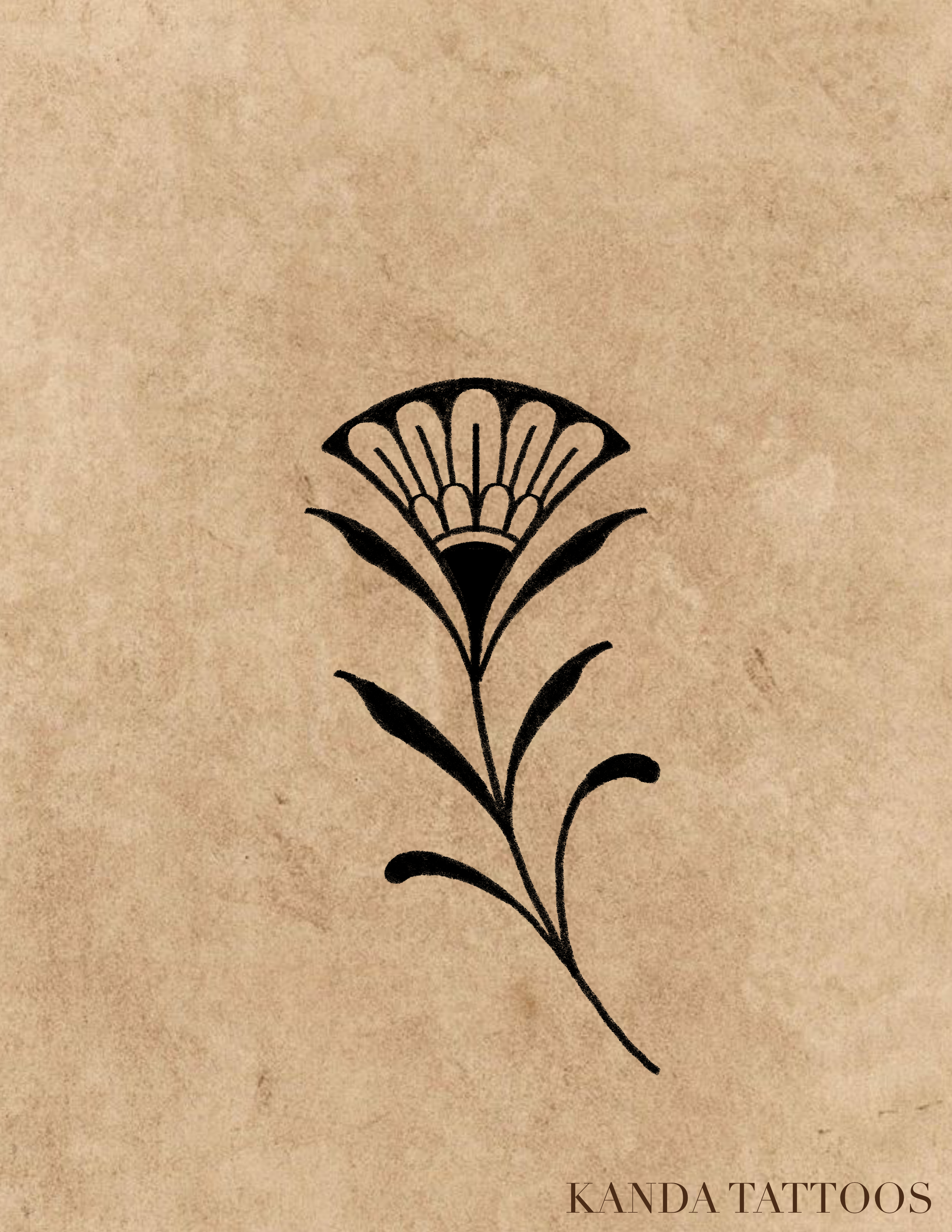IMG_3249.PNG