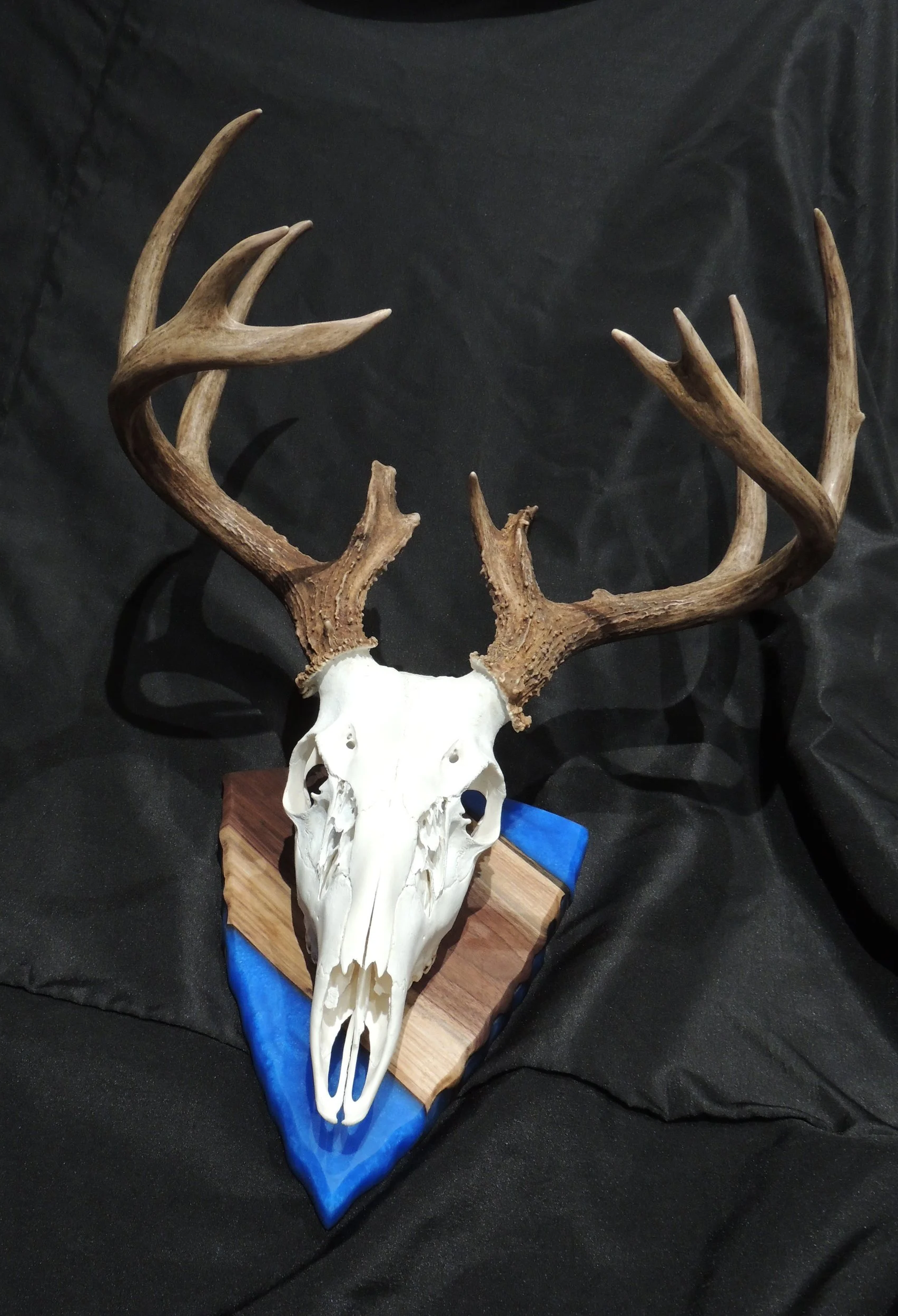 European mount - resin board