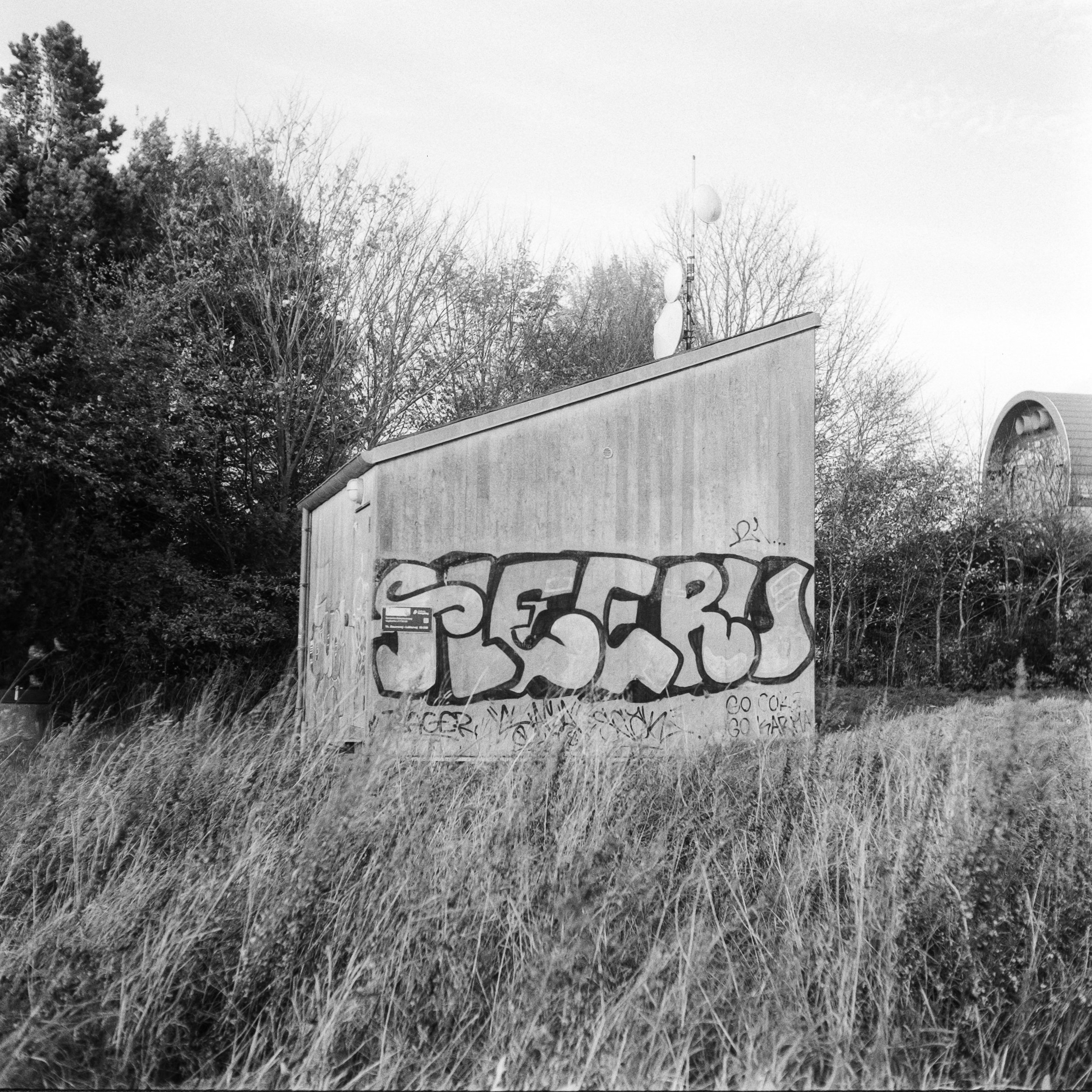 Name | Aalborg, Denmark