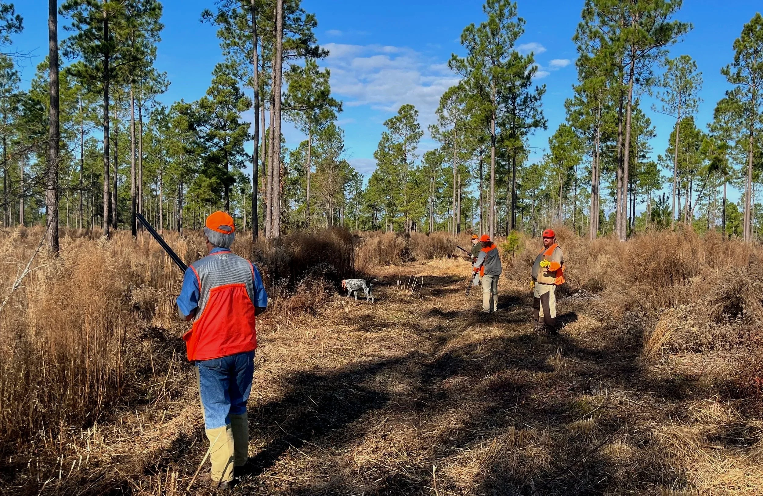 A group of men in orange hats and vests, working in a cleared forest trail with trees in the background.