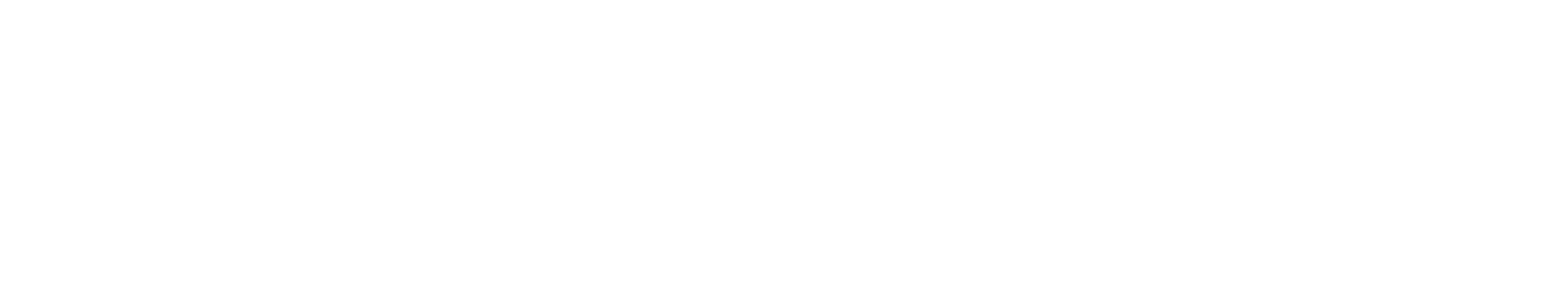 Strategies for life and leadership with Shepherd and CO