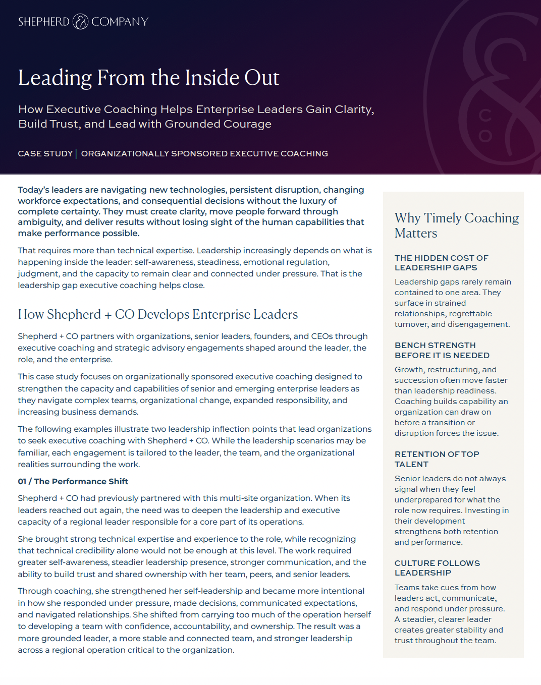 Executive coaching case study by Cassandra Shepard