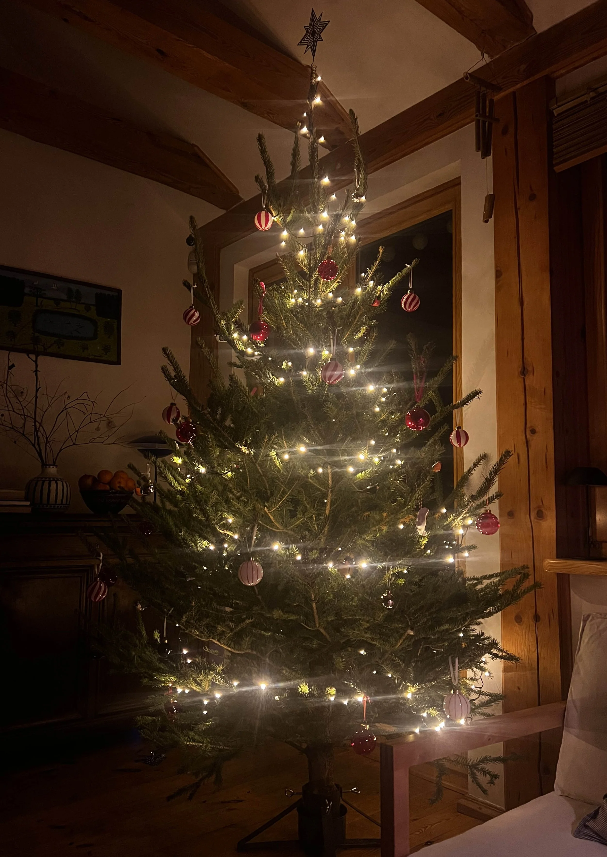 IMG_5744 choinka .jpg