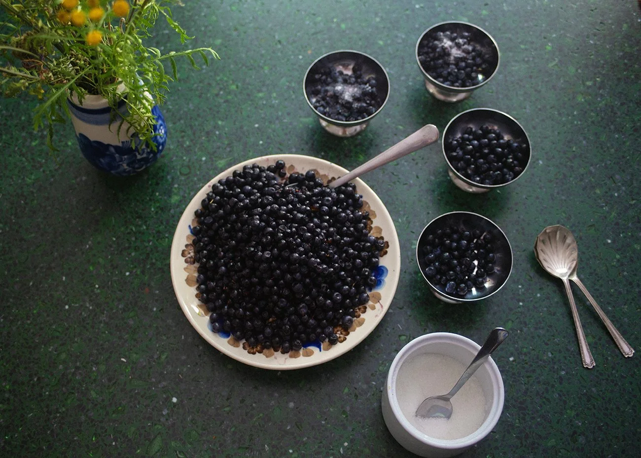 008A1564 jagody z cukrem 15mb.jpg