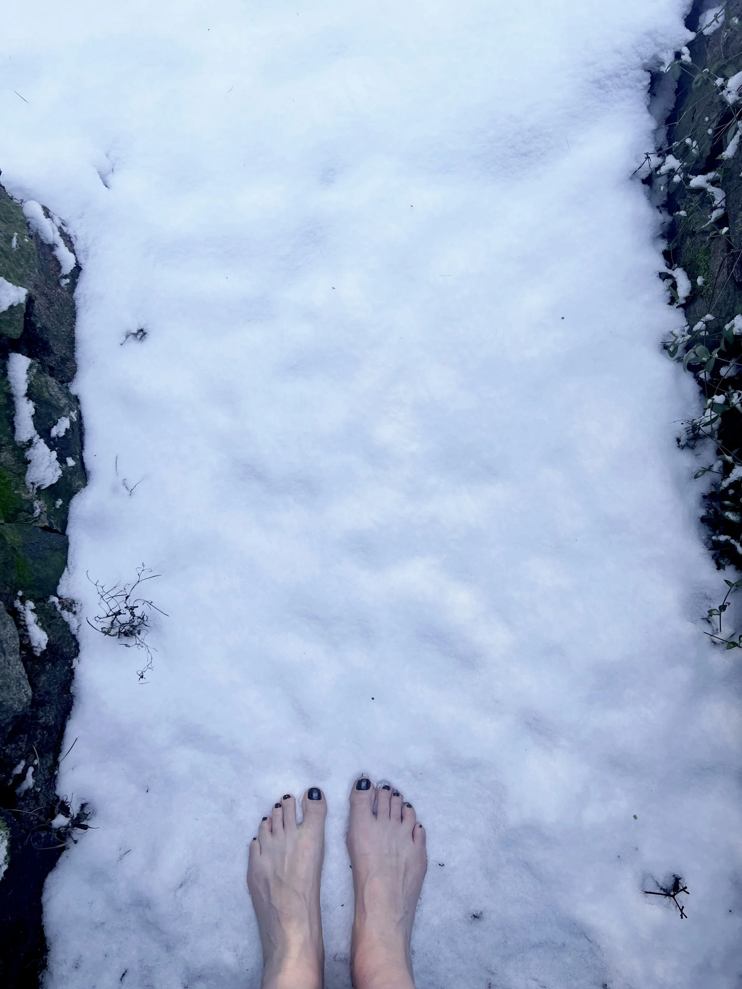 IMG_6634 stopy na śniegu.jpg
