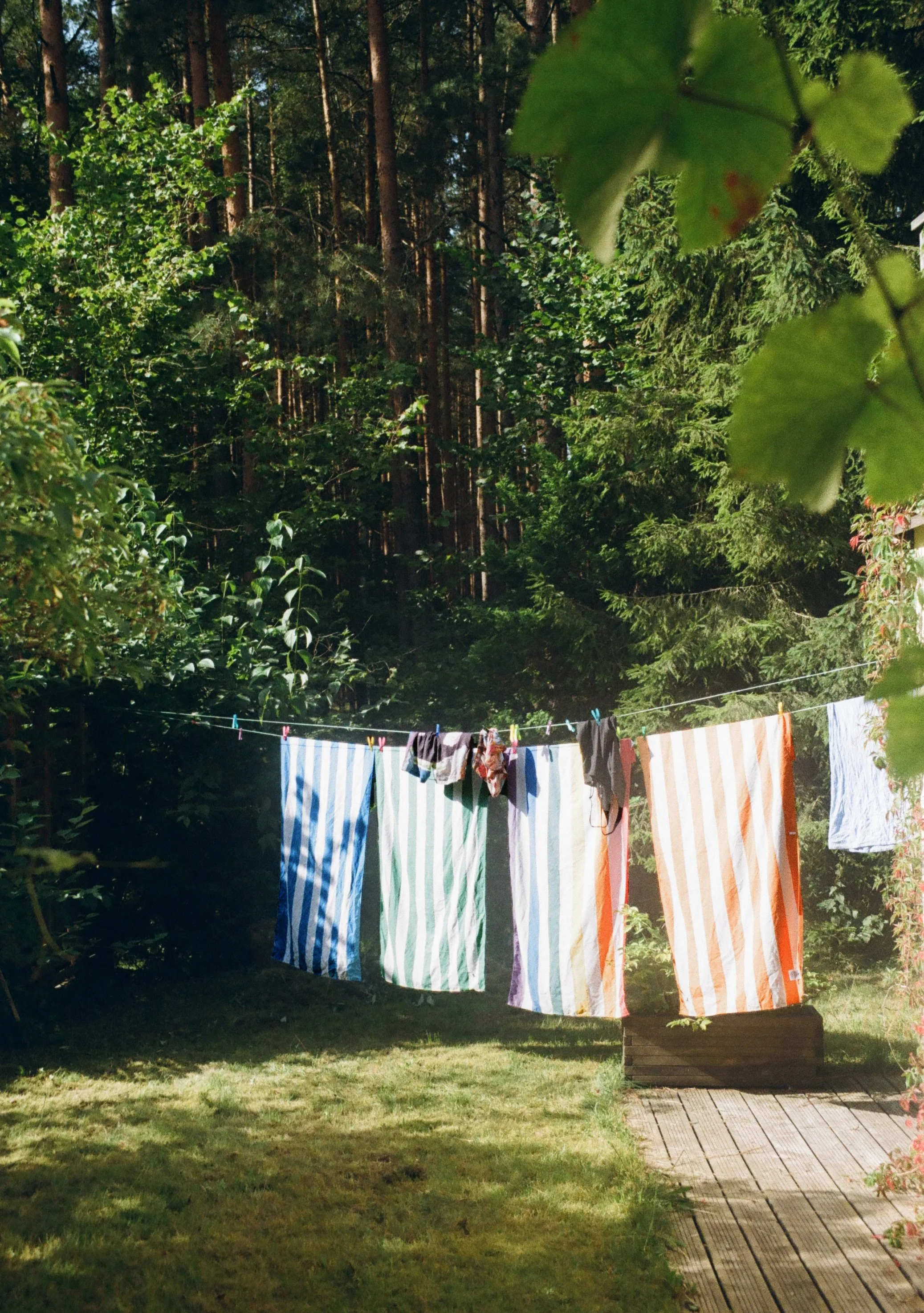 250910000000010010 reczniki.jpg