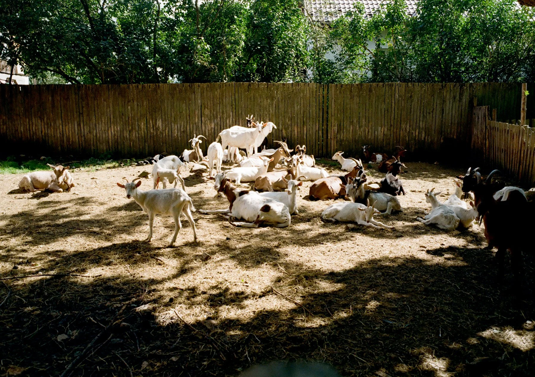 250910000000020028 kozy 15mb.jpg