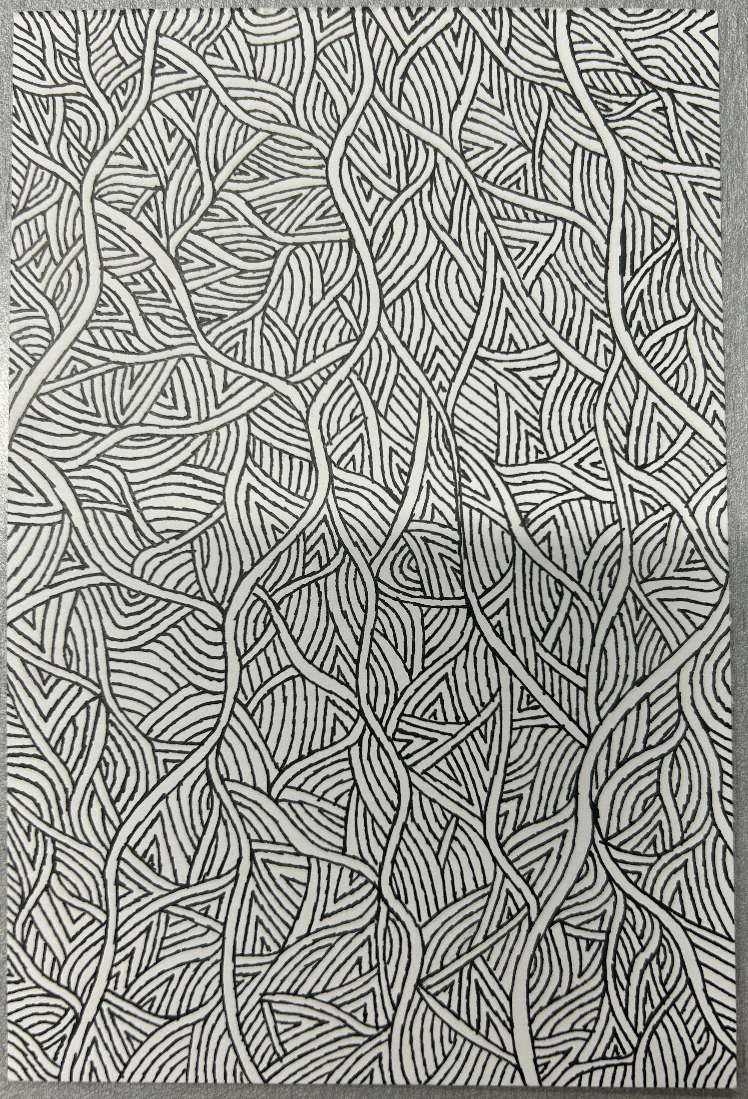 Day 5 "More Vines"