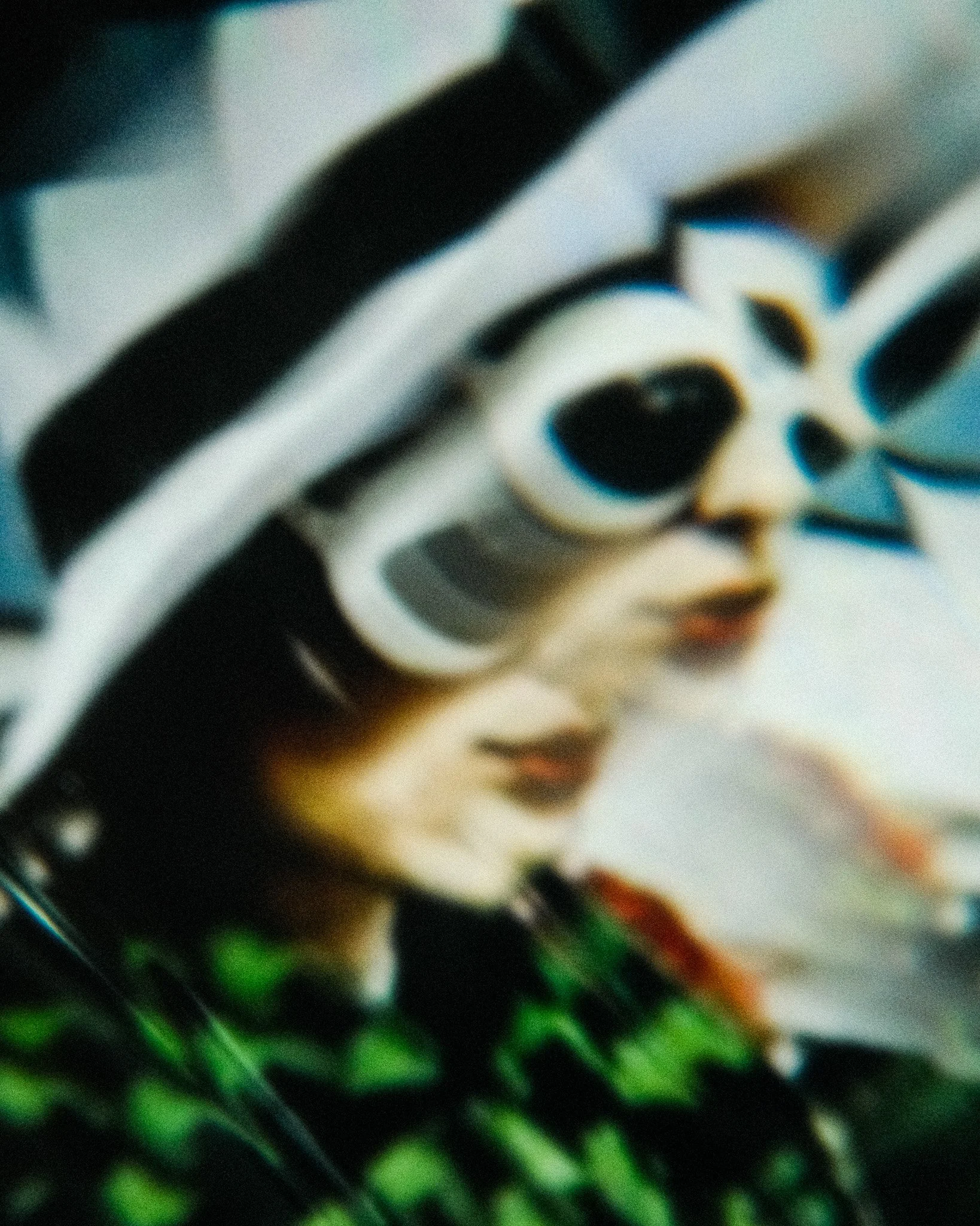 DSCF8759.jpg