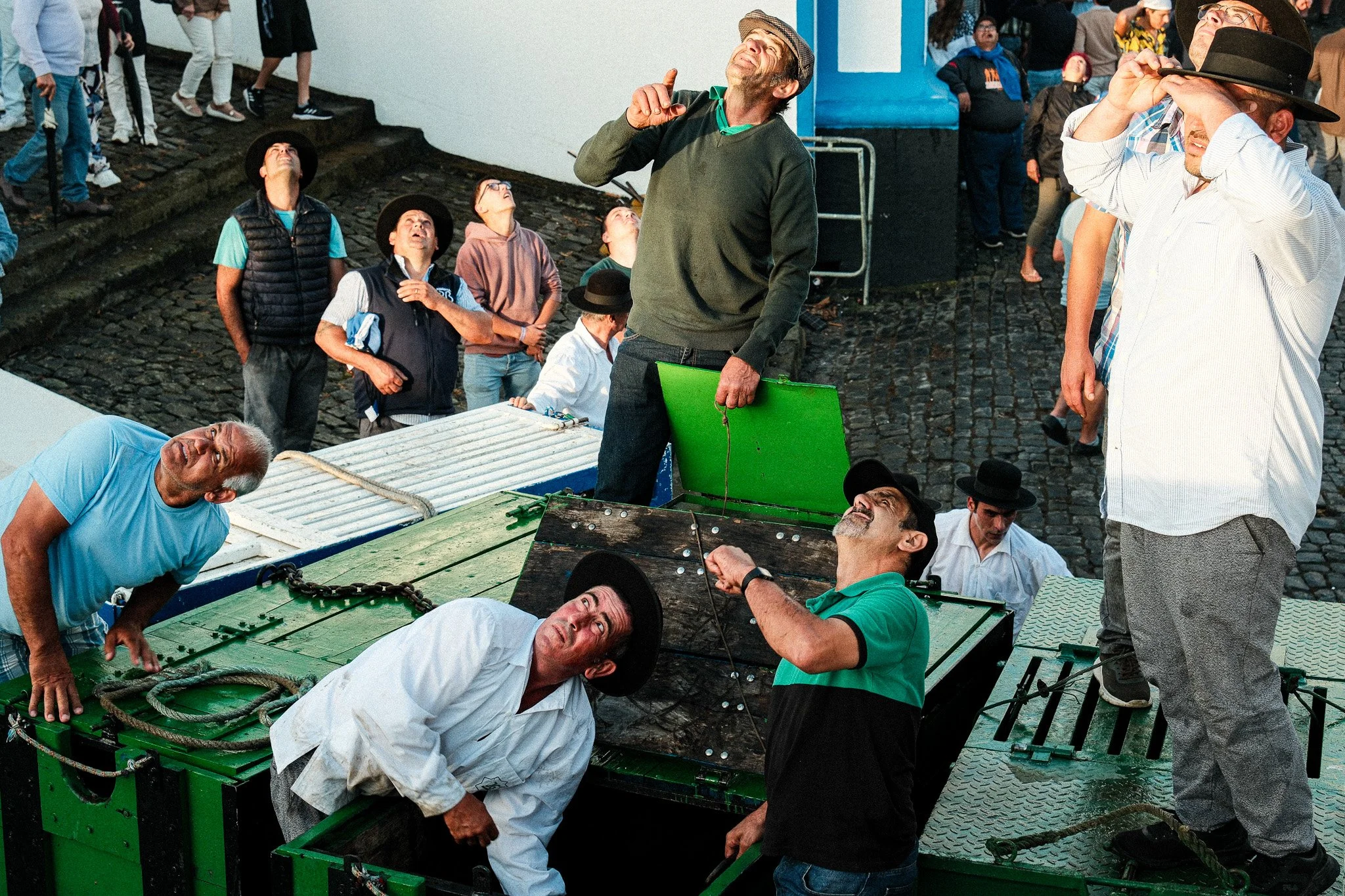 Festival of Sanjoaninas - Açores