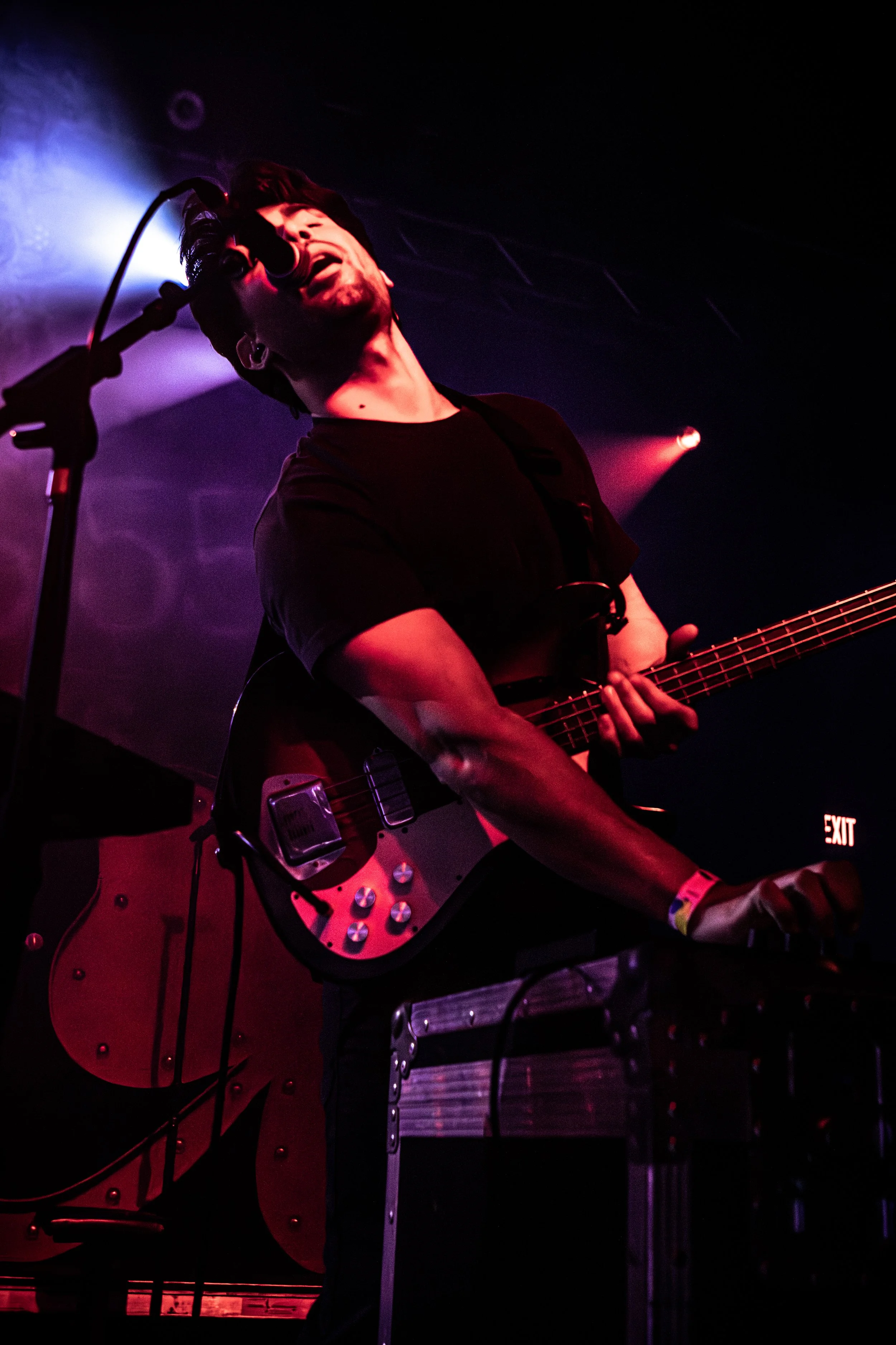the ivy-01.jpg