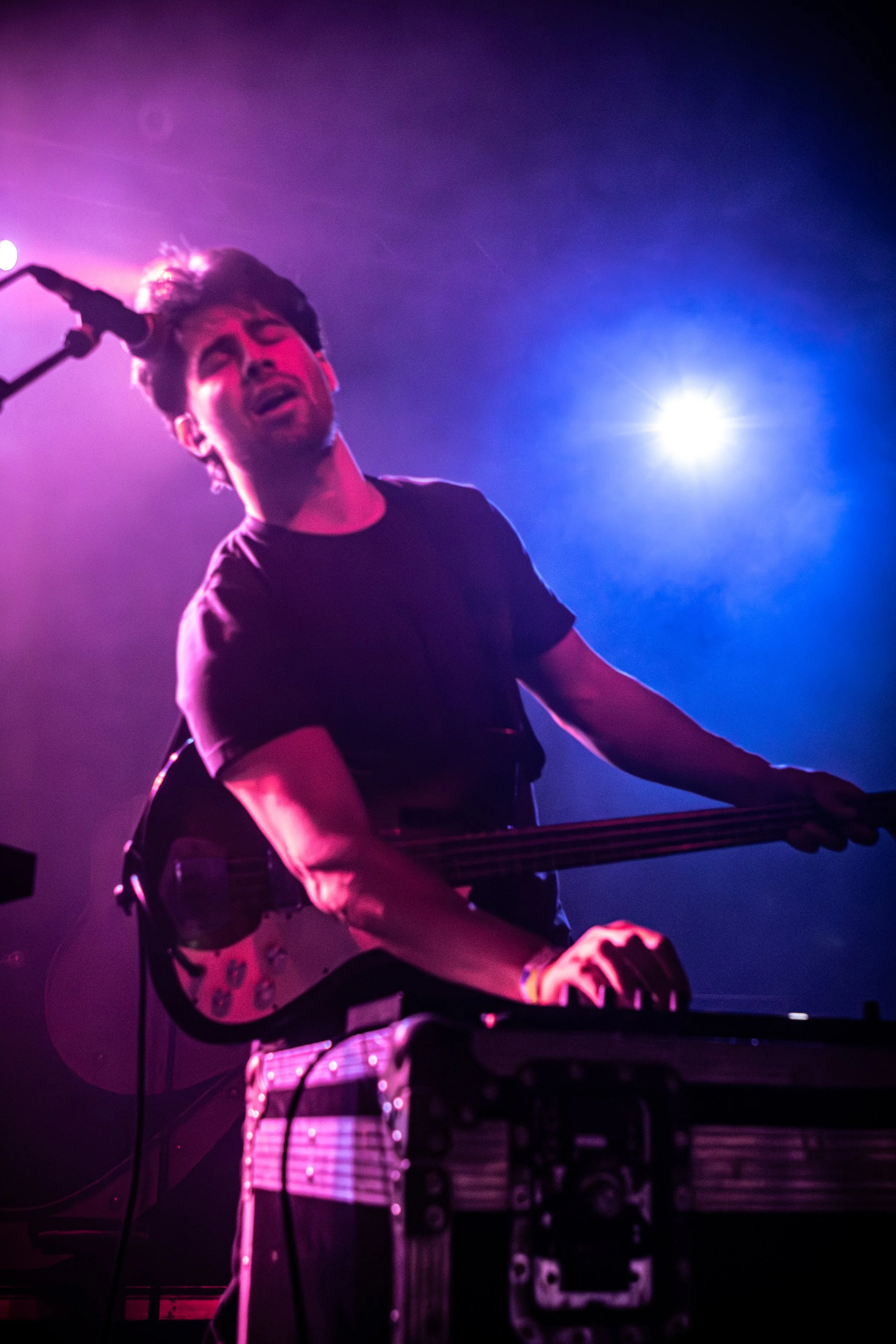the ivy-27.jpg