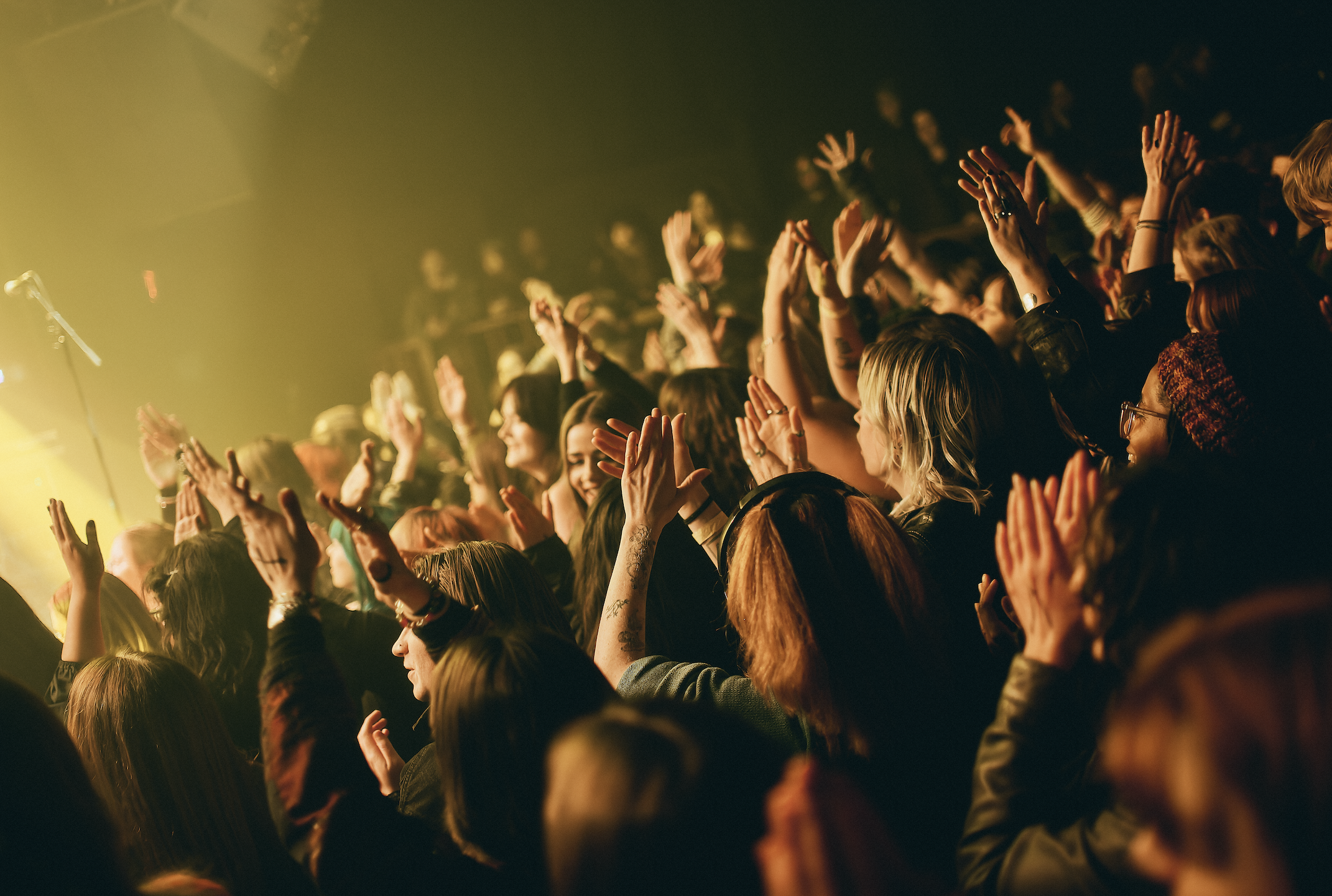 Screenshot 2026-02-11 at 10.25.59 AM.png