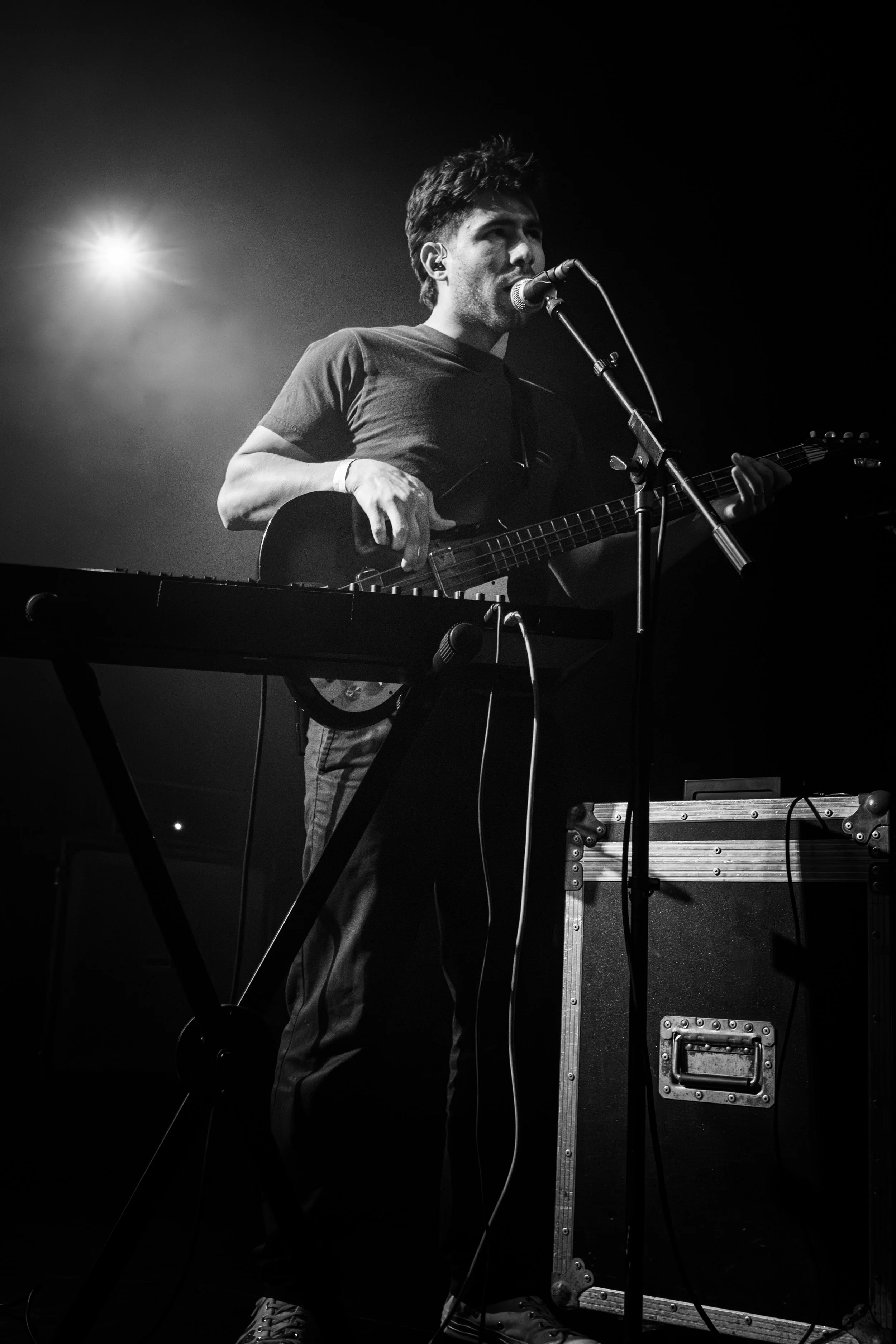 the ivy-05.jpg