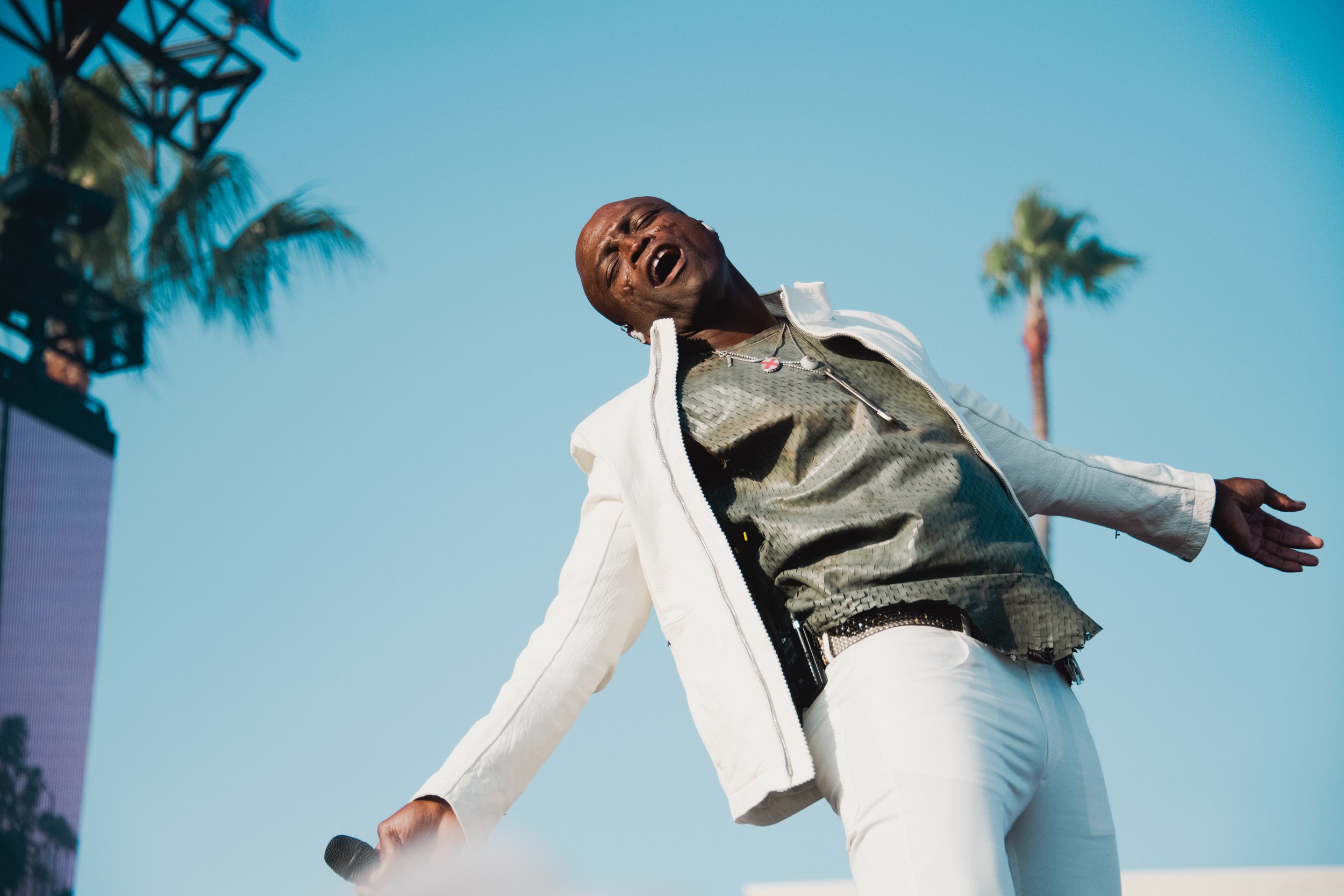 Seal at Beach Life Festival 2024