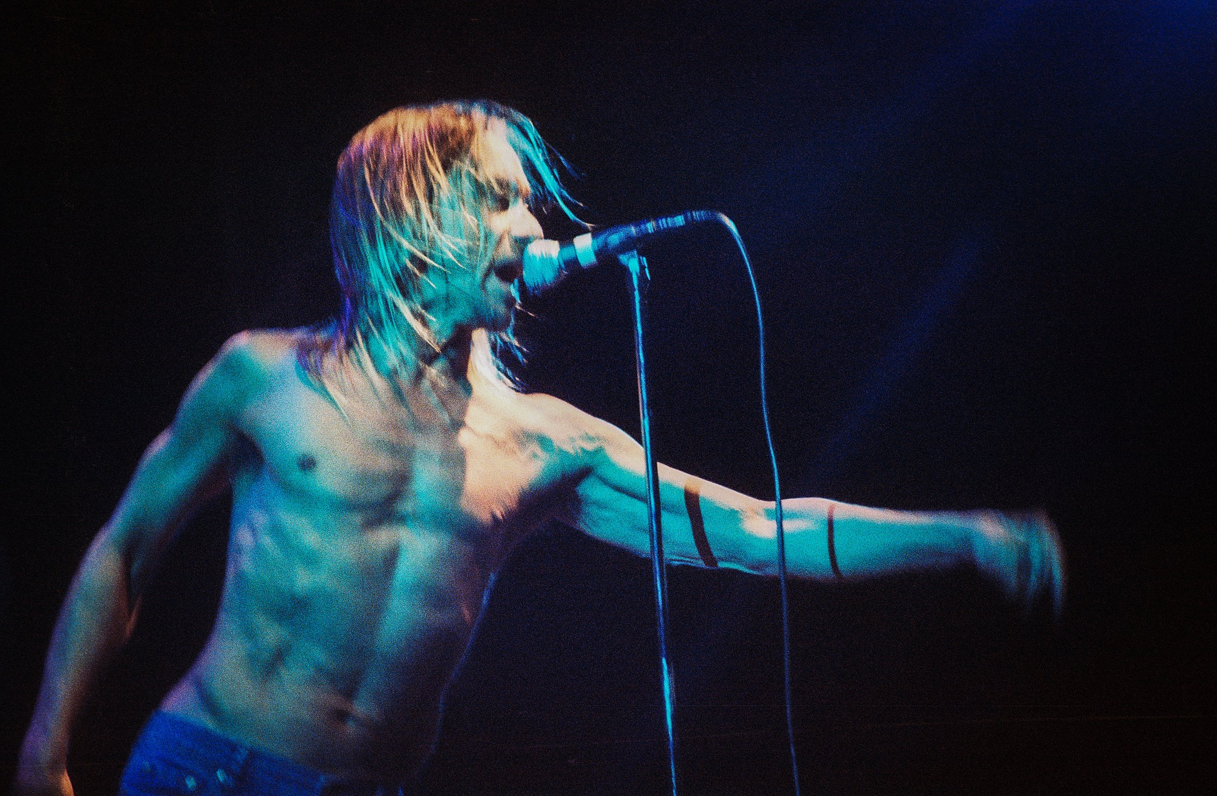 Iggy Pop