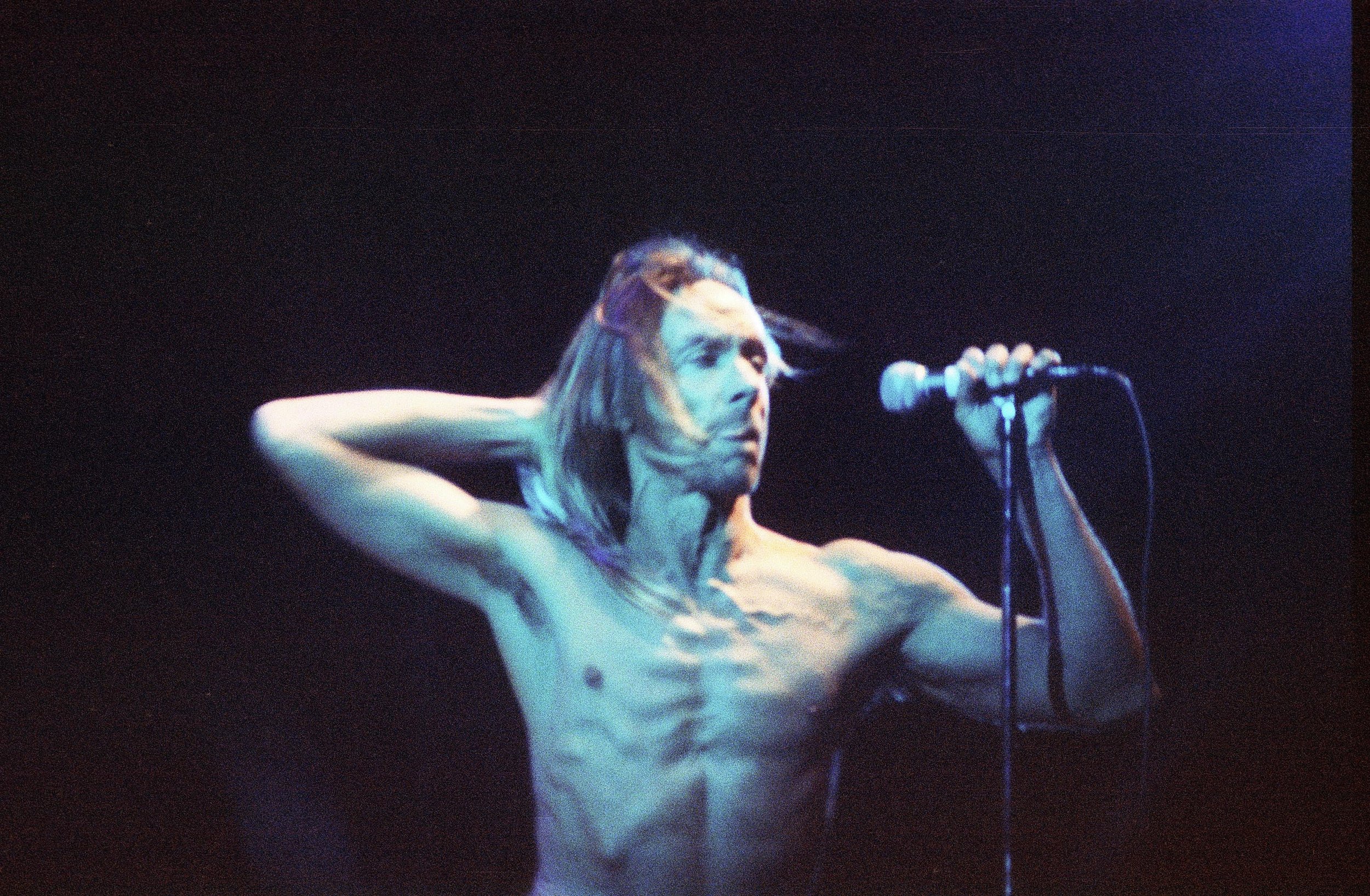 Iggy Pop