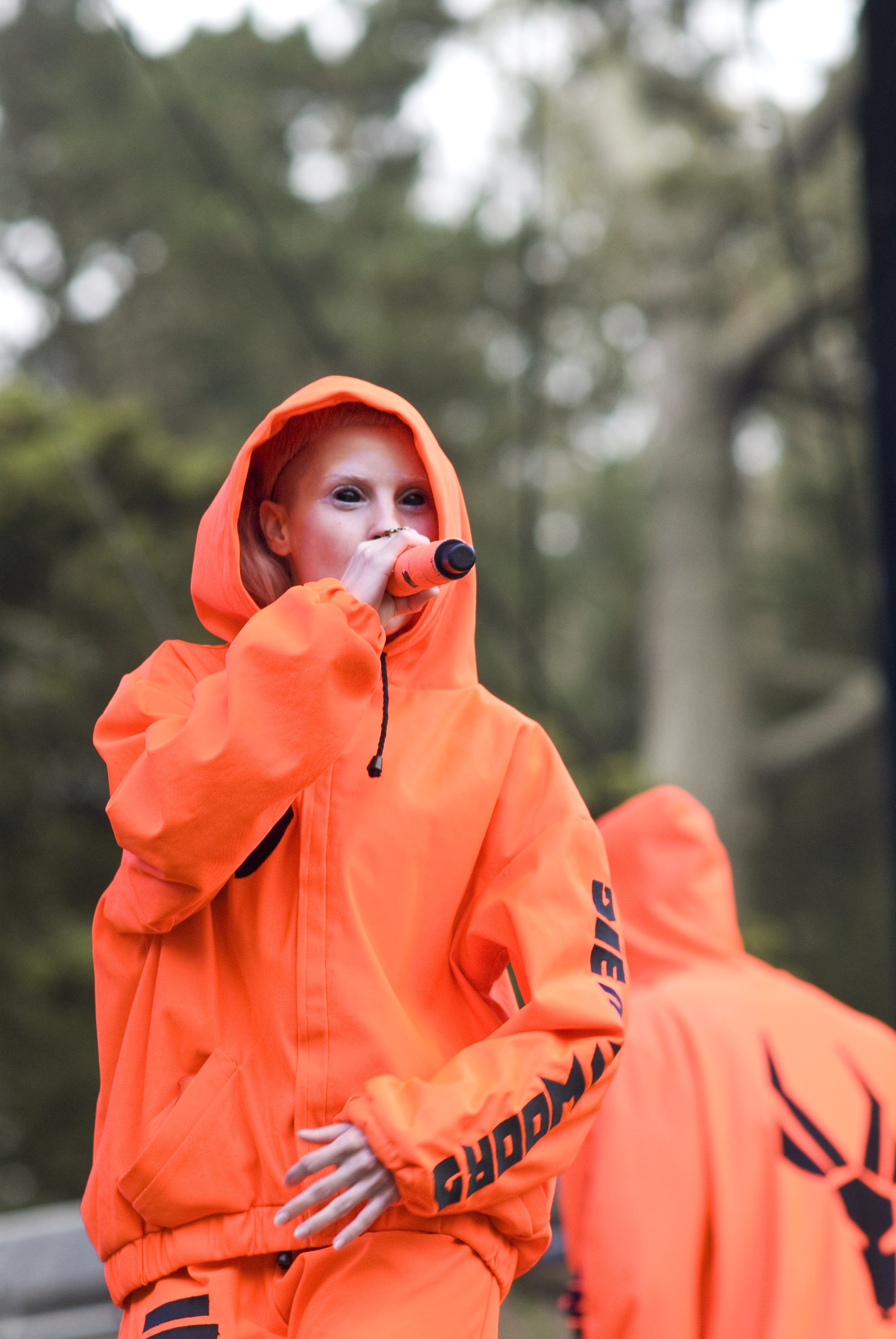 Die Antwoord