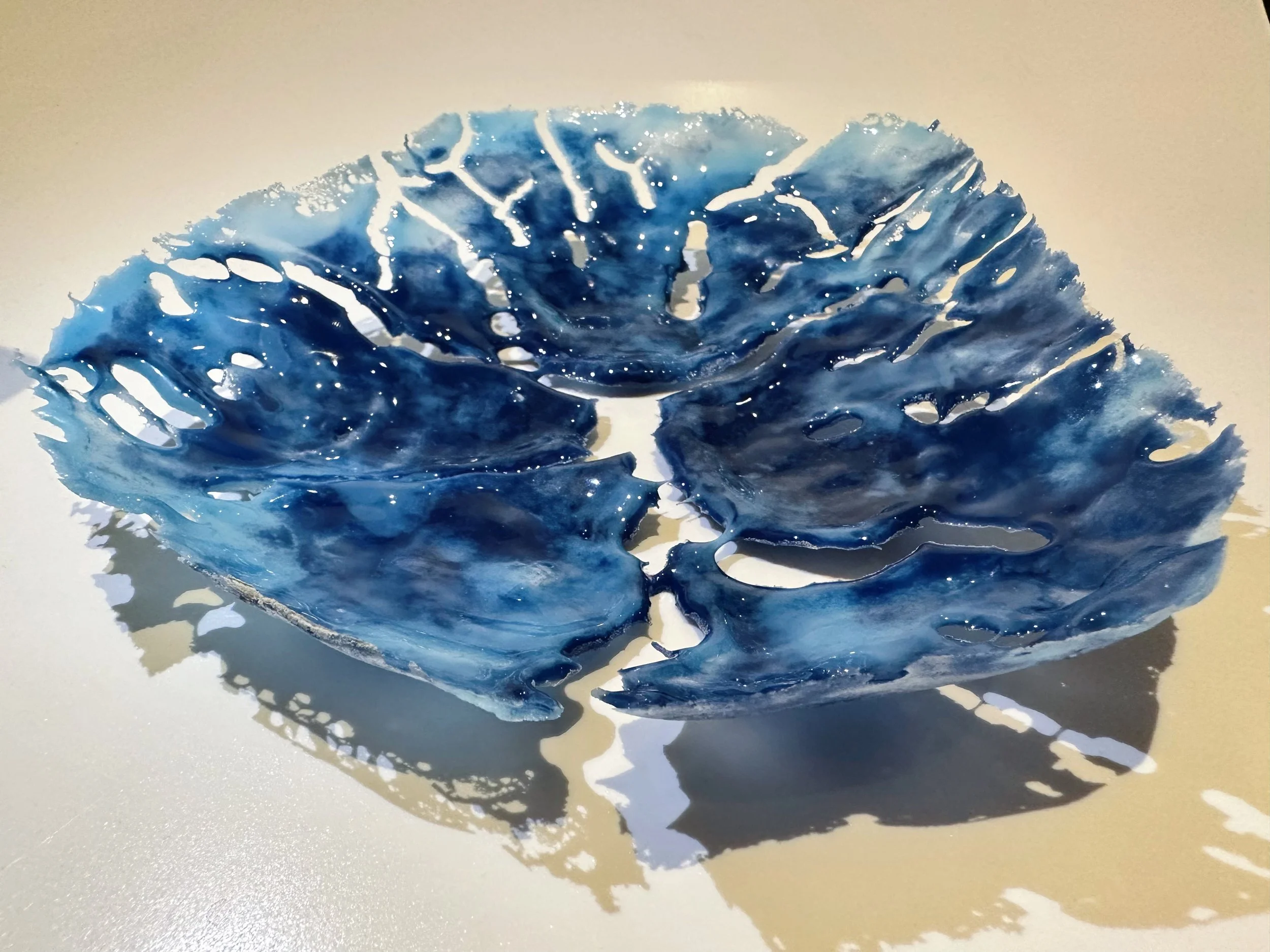 Donghaiyue Liu - Natures_Prism II 