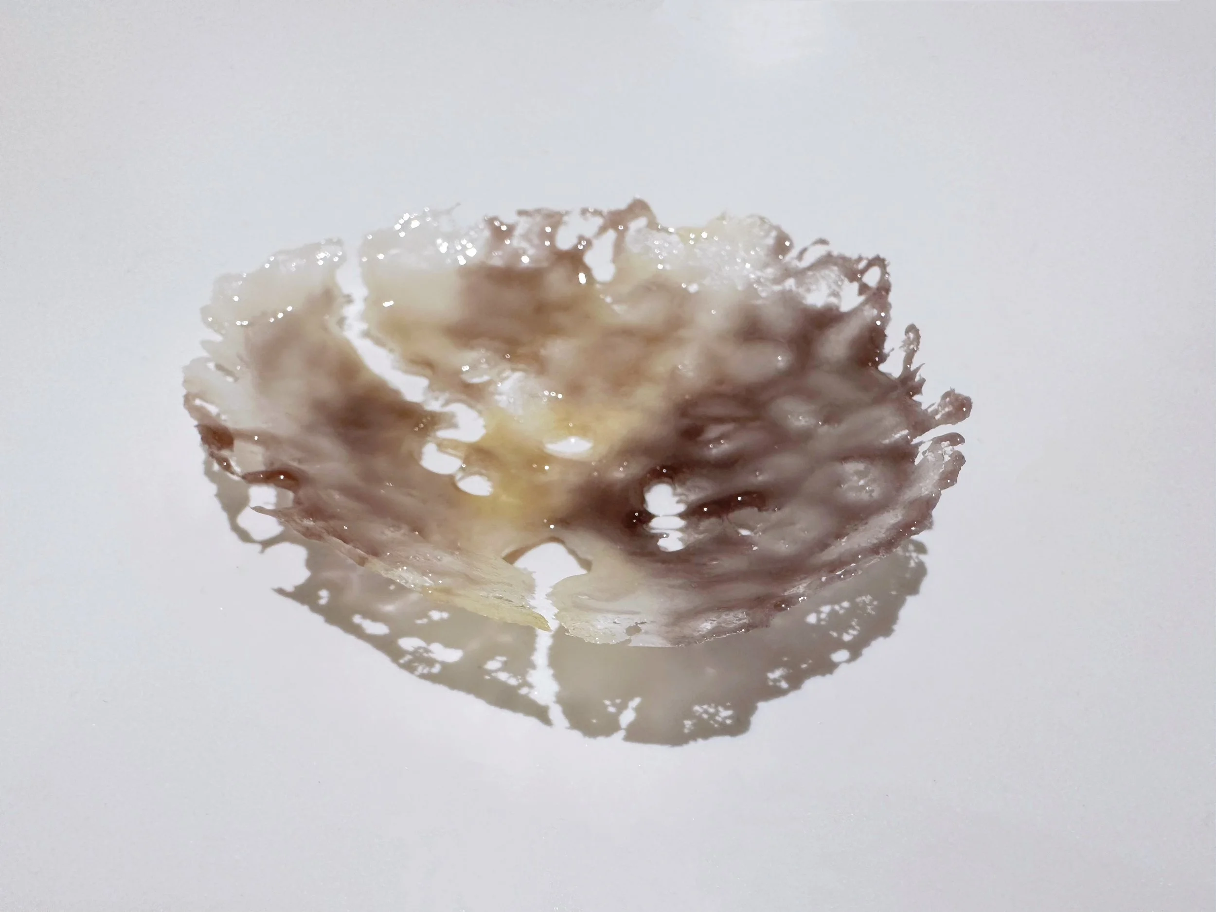 Donghaiyue Liu - Natures_Prism I 