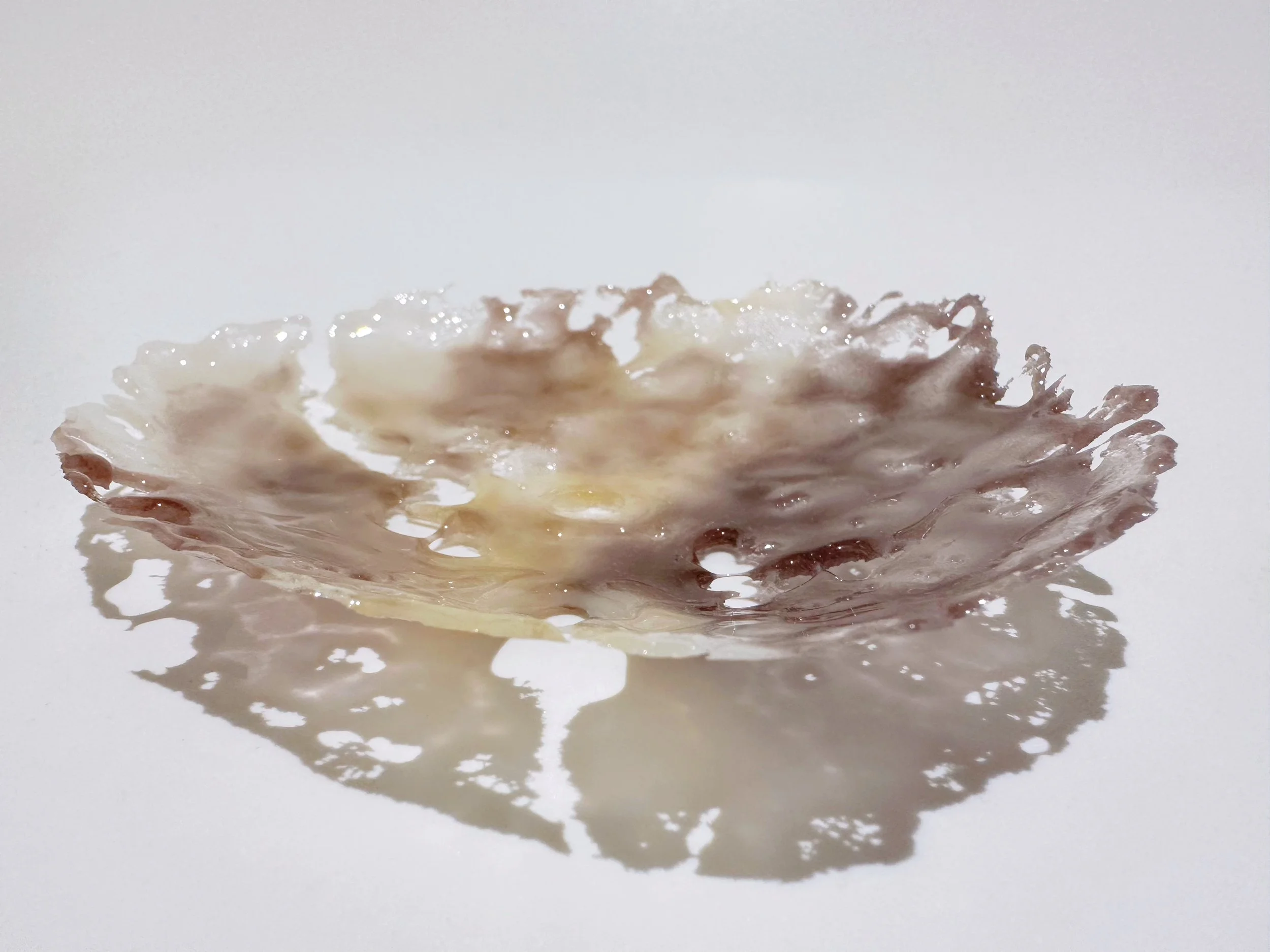 Donghaiyue Liu - Natures_Prism I 