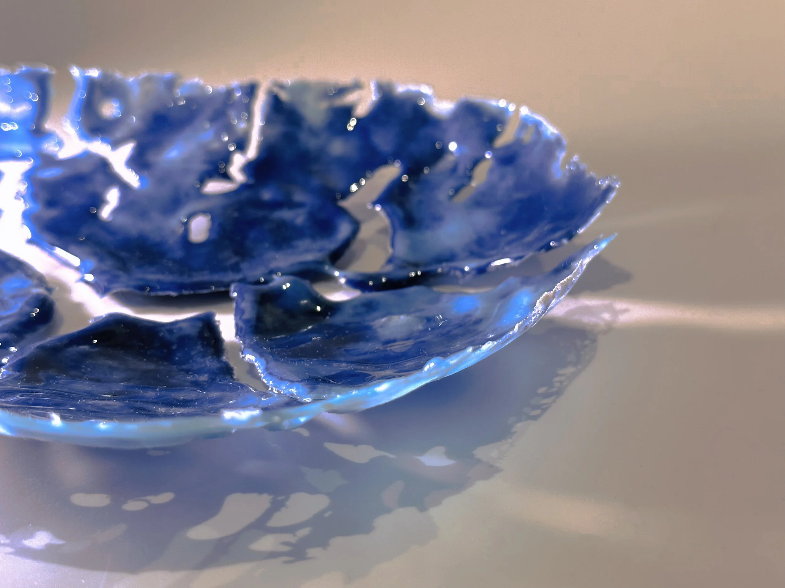 Donghaiyue Liu - Natures_Prism II 