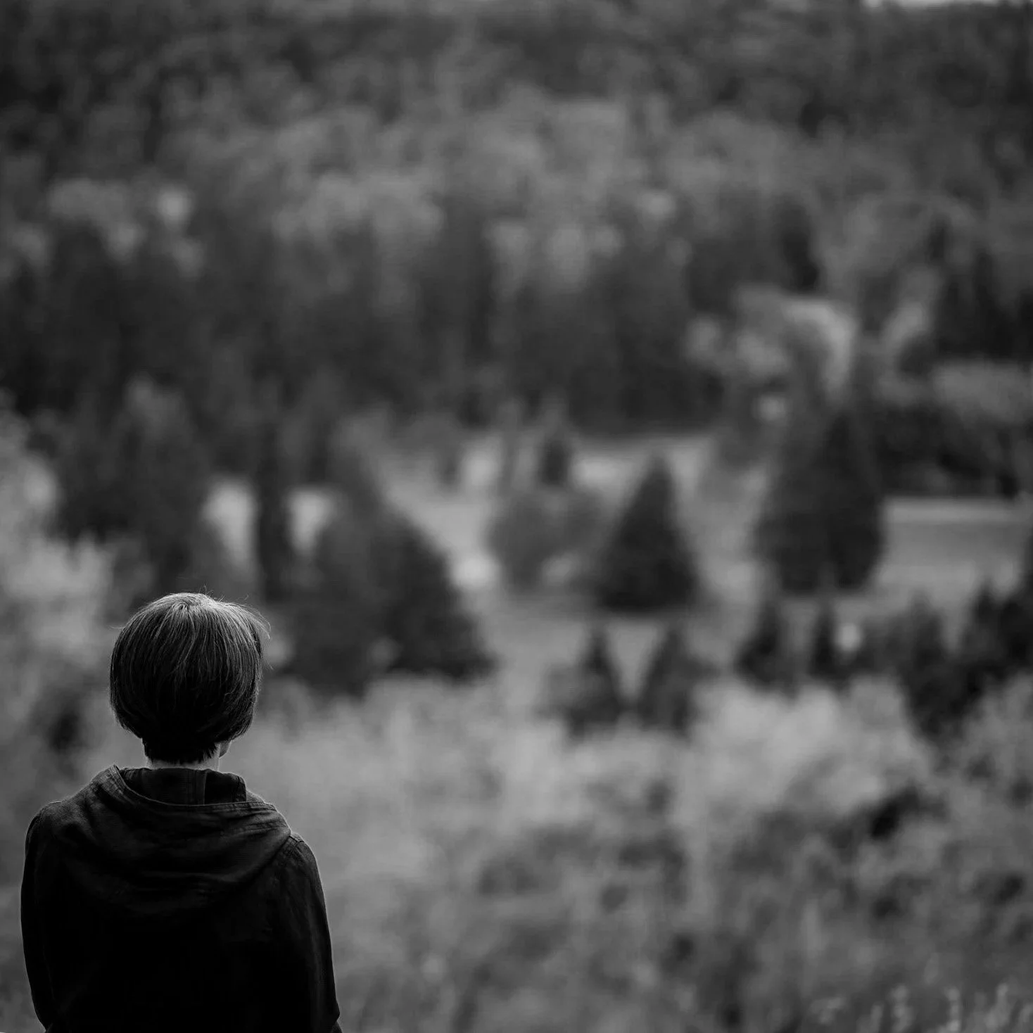 Image of a person seen from behind, standing in the bottom left quadrant of the photo, looking out over the river valley of Edmonton