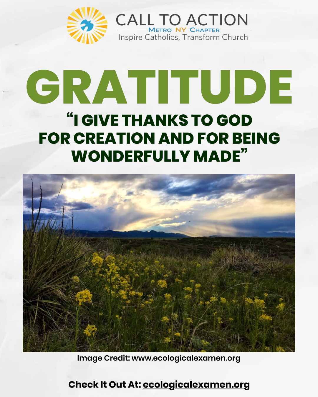 Instagram post - 854.png