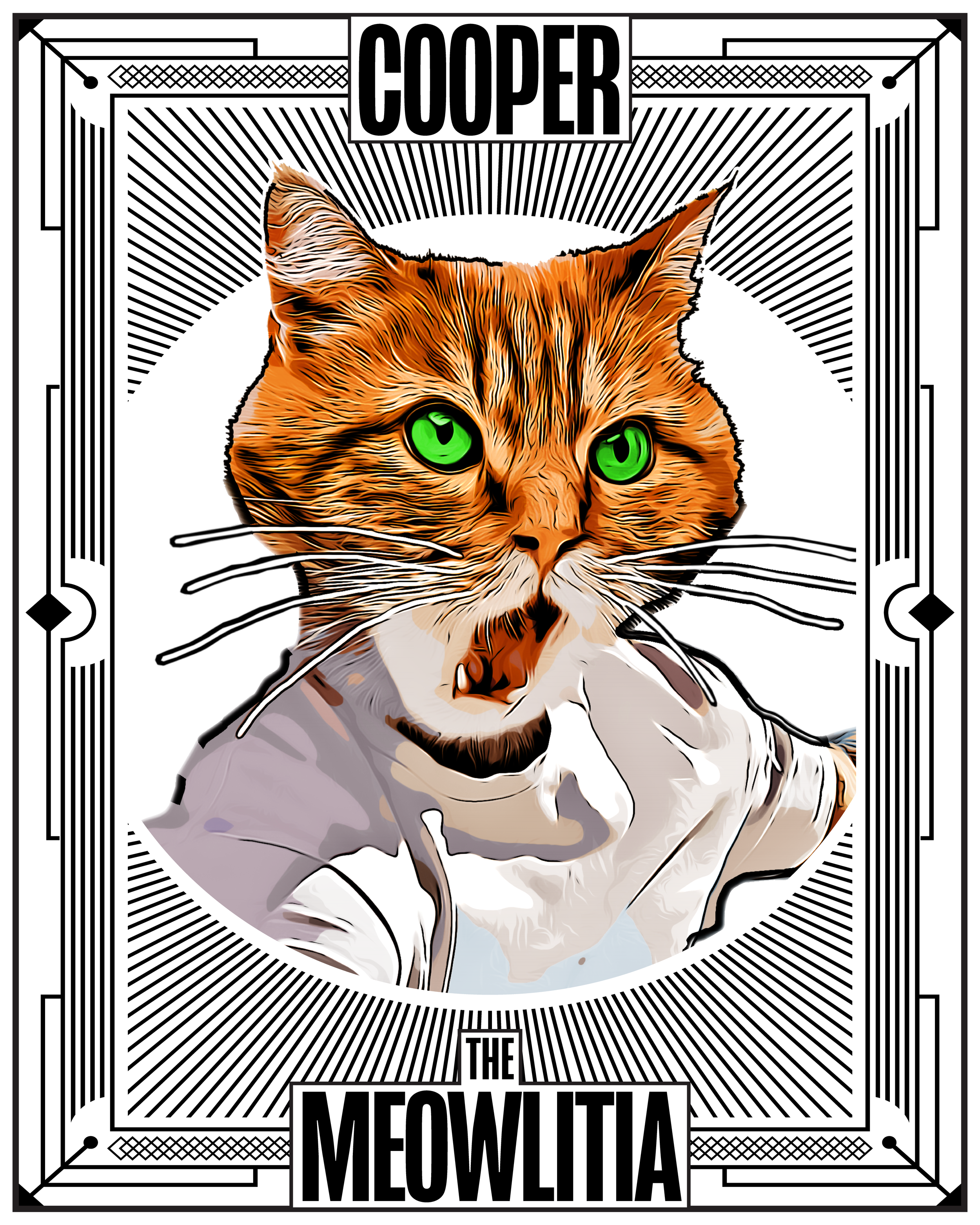 Cooper Canon record from The Meowlitia