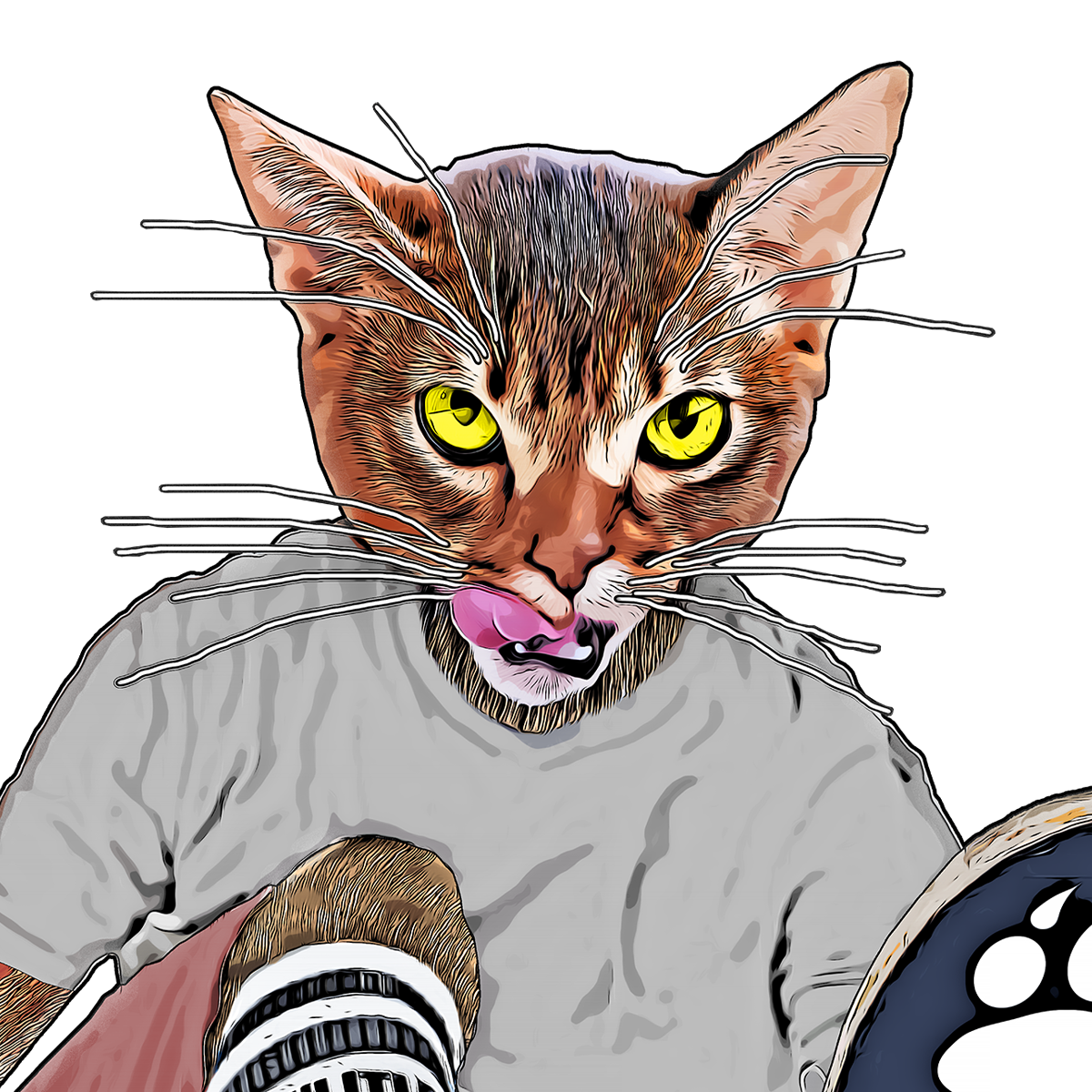 Felix, Meowlitia skate operative